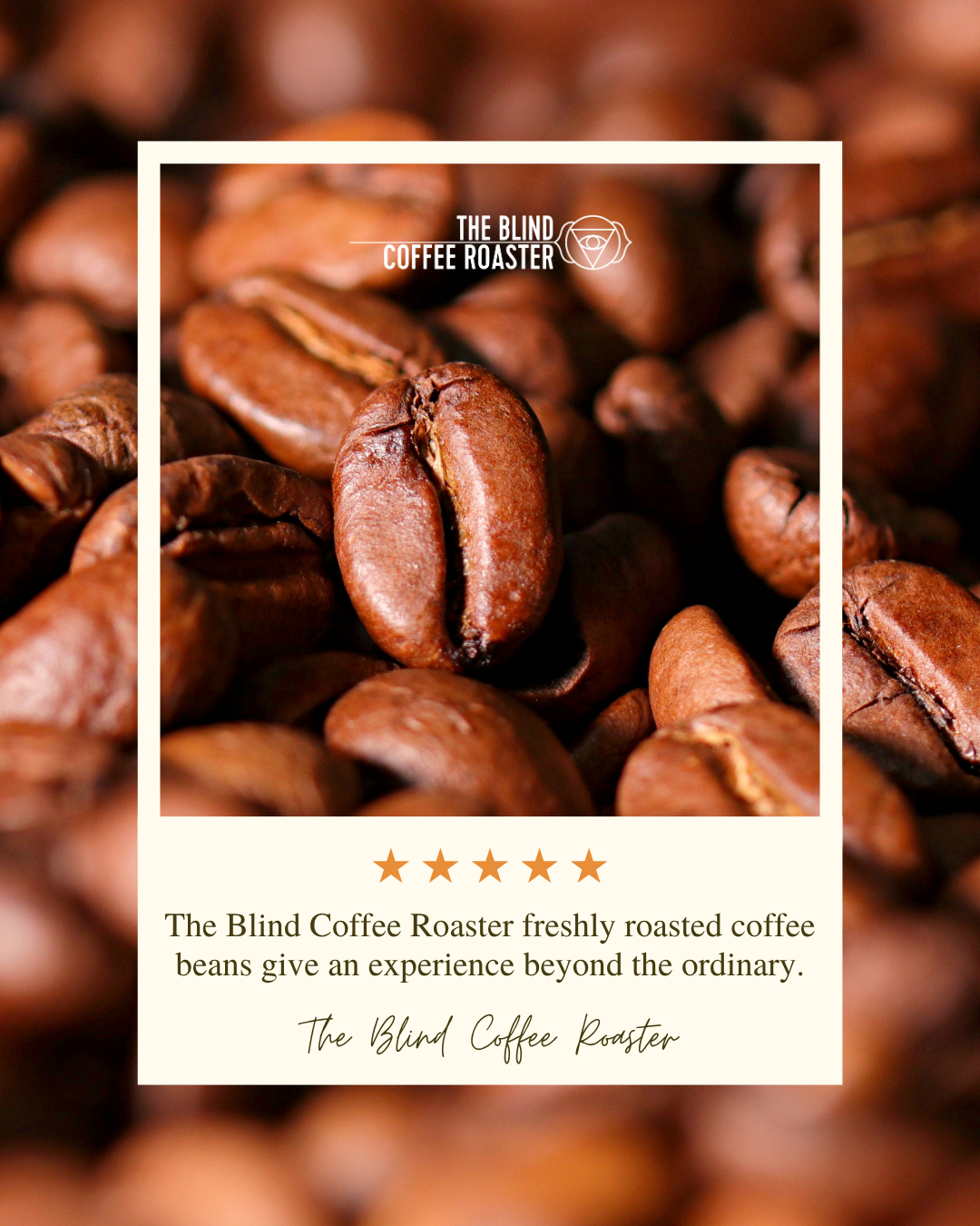 Green coffee beans Australia - understanding unroasted beans