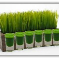 11041156 1158766484139310 7071472320931337622 n 22c257ecf4bc886aa7f7