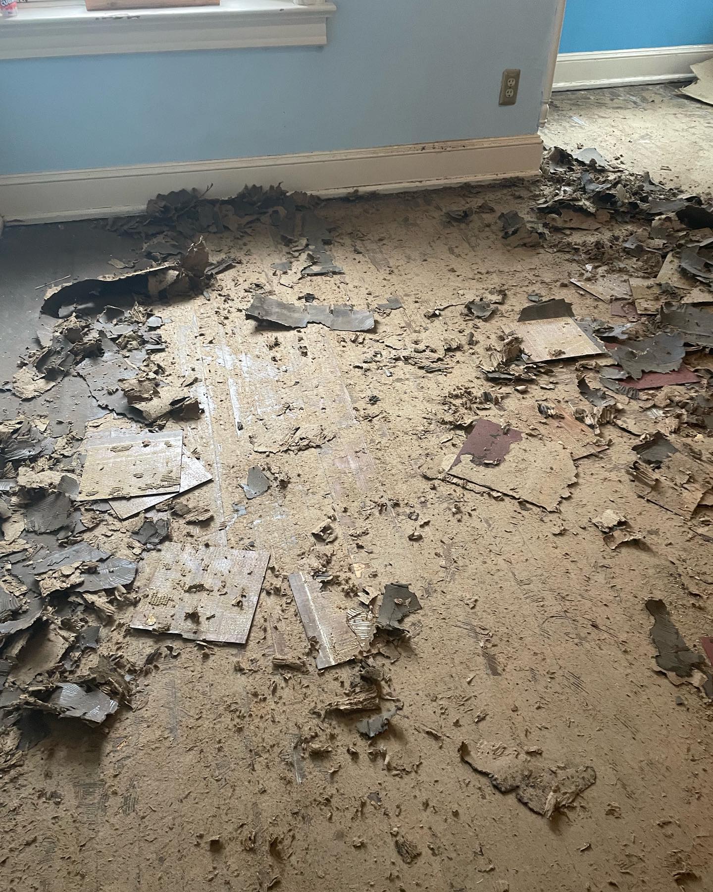 Found hardwood under your carpet? Here’s how we restore it to its former glory 1 272045463 259047573012586 3546061115073902732 n e7ed887eb5168fe98ebc