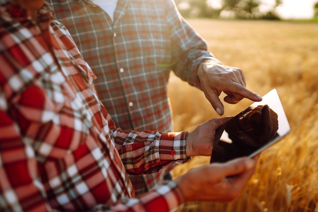 Farming loans