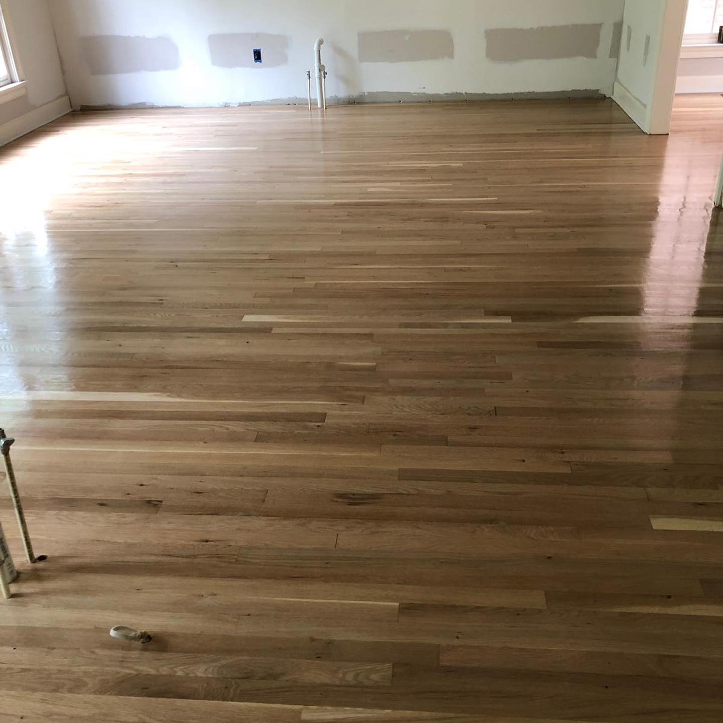 Flooring safety checklist: lvp, carpet, and hardwood for kids and pets 3 64306145 313732749571536 7482519756342114484 n 76589cbdddfbb1e4940c