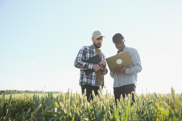 Agriculture Financing