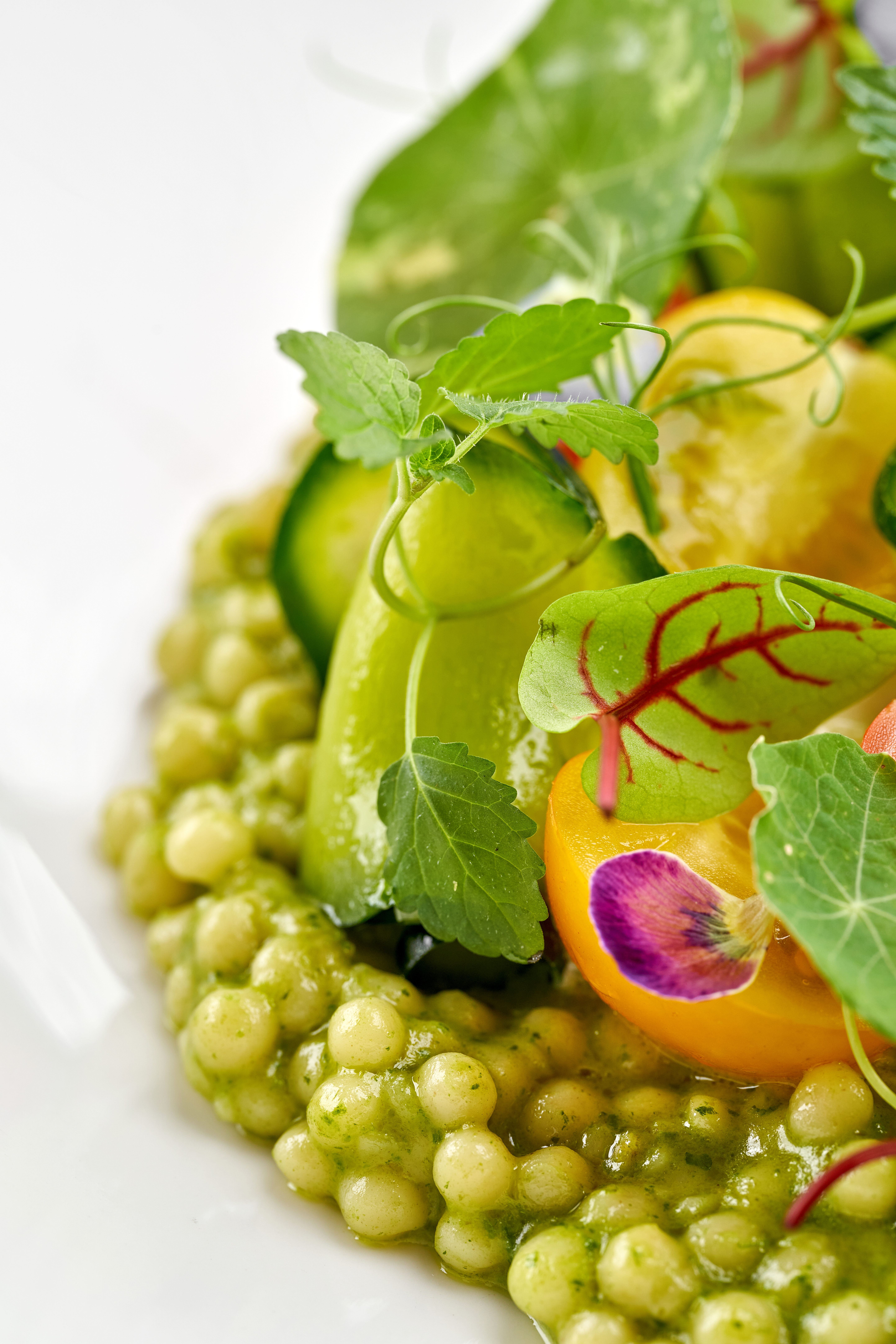 Savor the Season: Jubilee Juice & Grill's Fresh and Flavorful Menu Highlights! 1 a beautiful gourmet couscous salad with burrata v 8eb98decb88621cfb89d