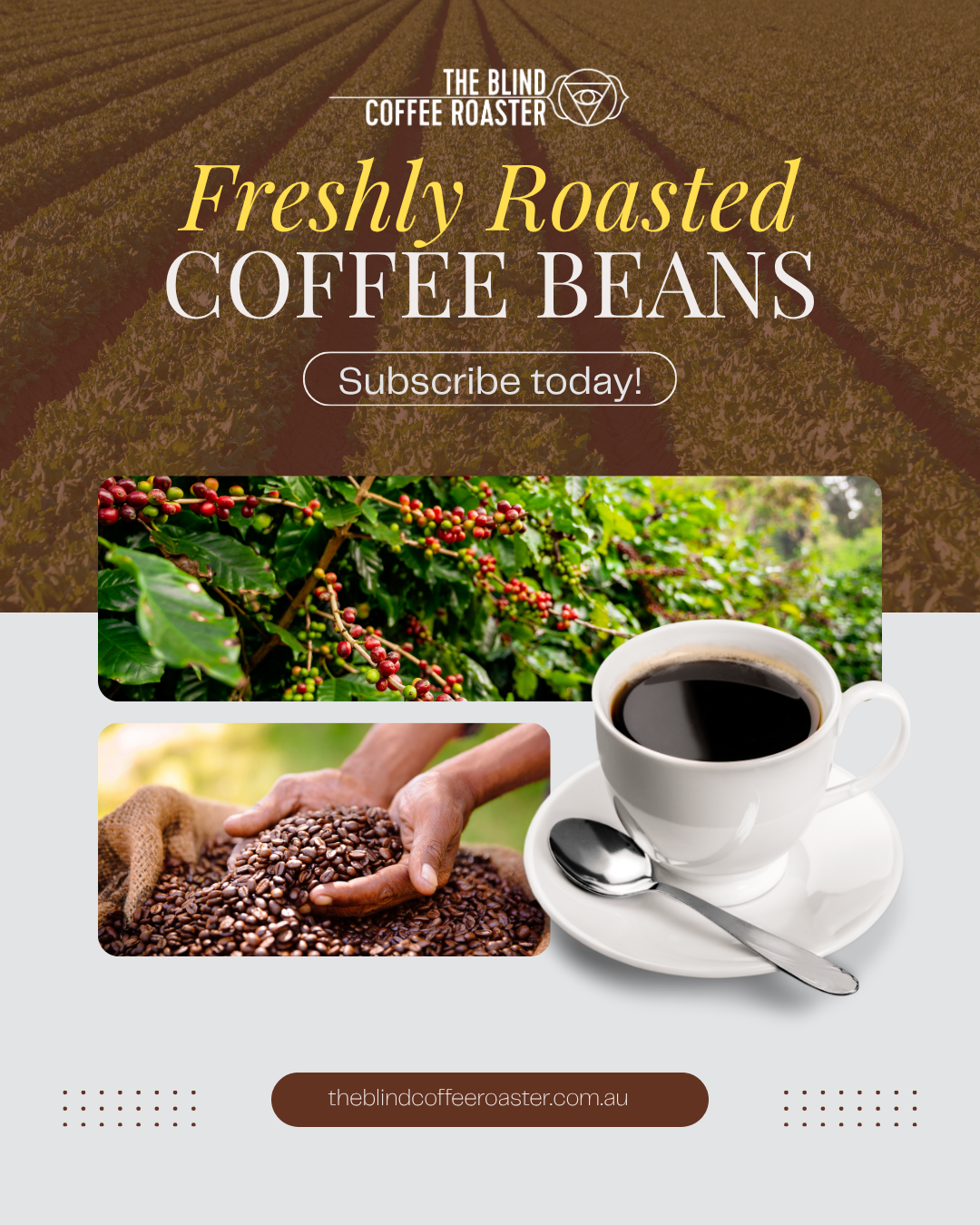 Coffee subscription Australia - freshly roasted beans on your schedule