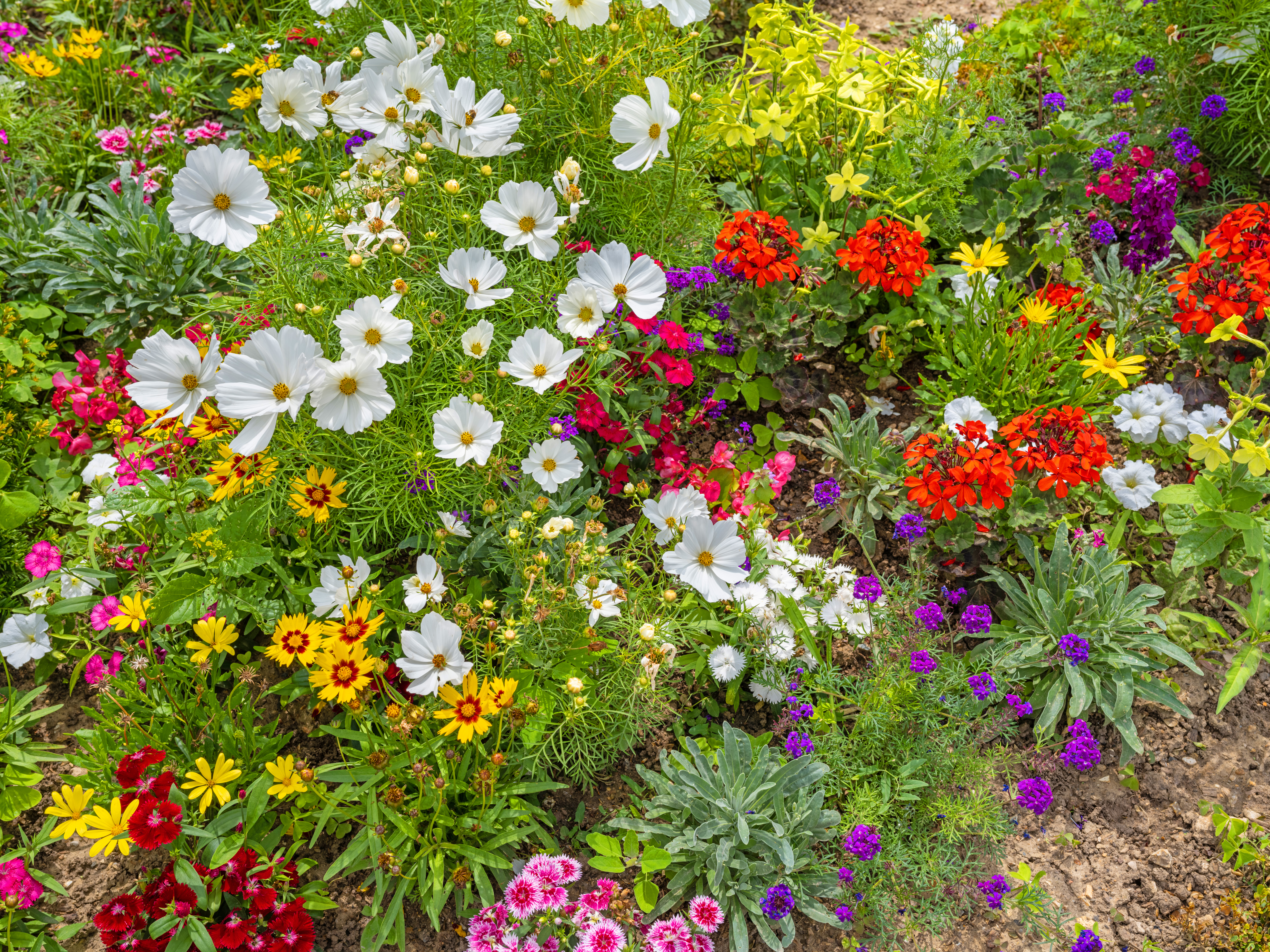 Quick Tips to Boost Your Garden's Sustainability Today A Flower Garden In Spring 6ddea36afc2e0498e301