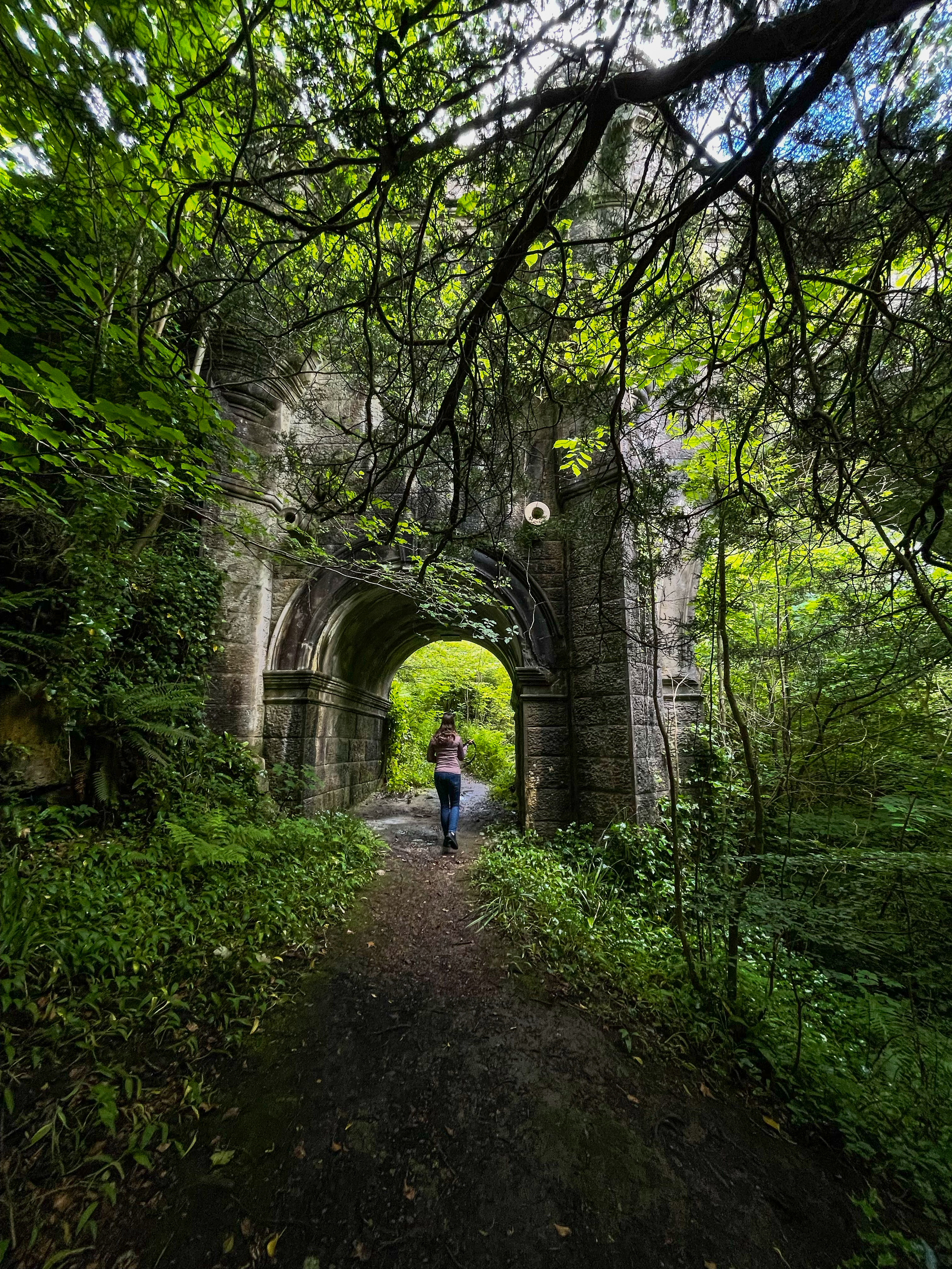 a lone wanderer follows an enchanted path beneath af004bbee6724f6ab080 BTOURS
