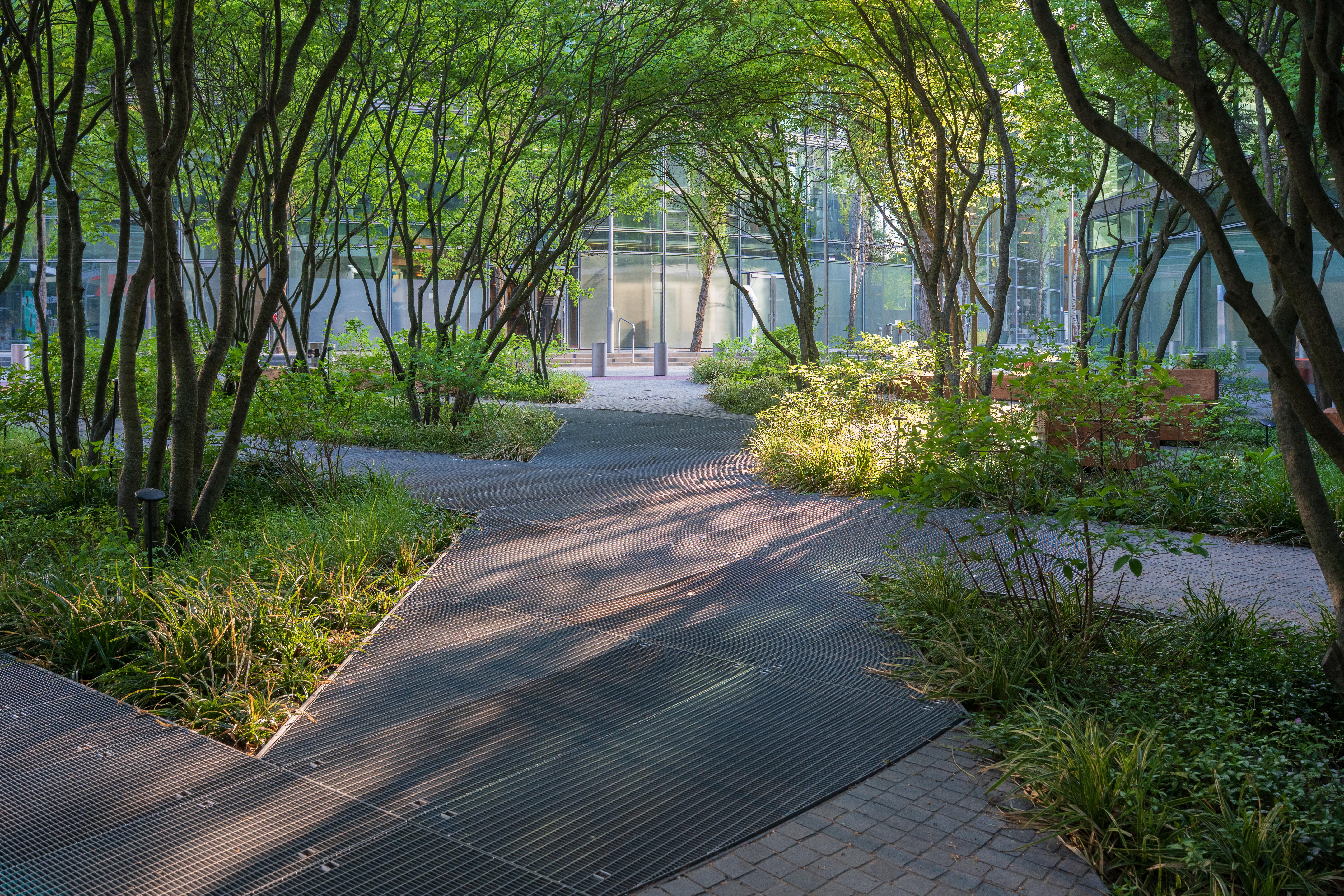 alt="new San Diego trend in hardscape and landscape"