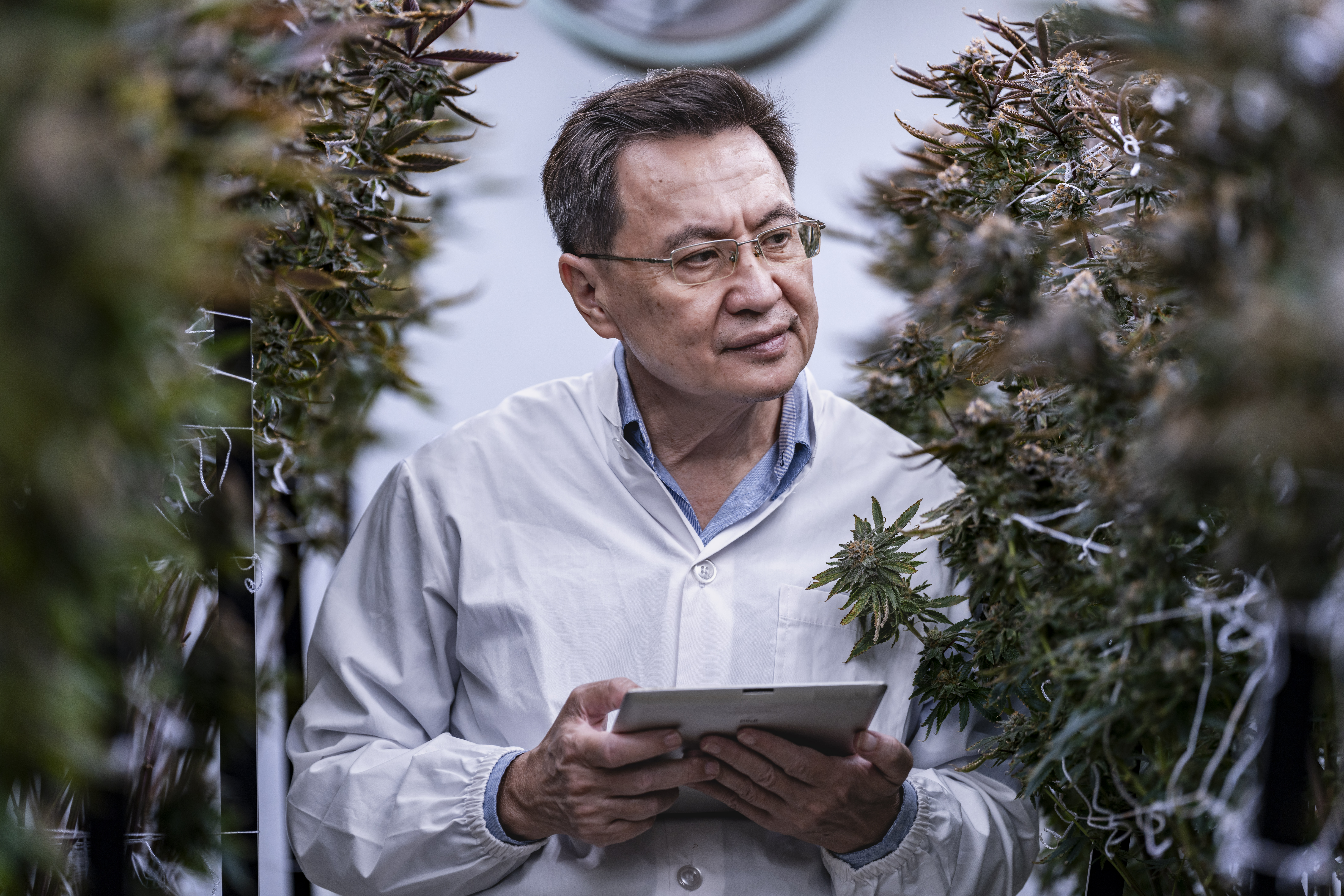 Veteran Leadership: Pioneering Innovation and Compliance in Cannabis Tech