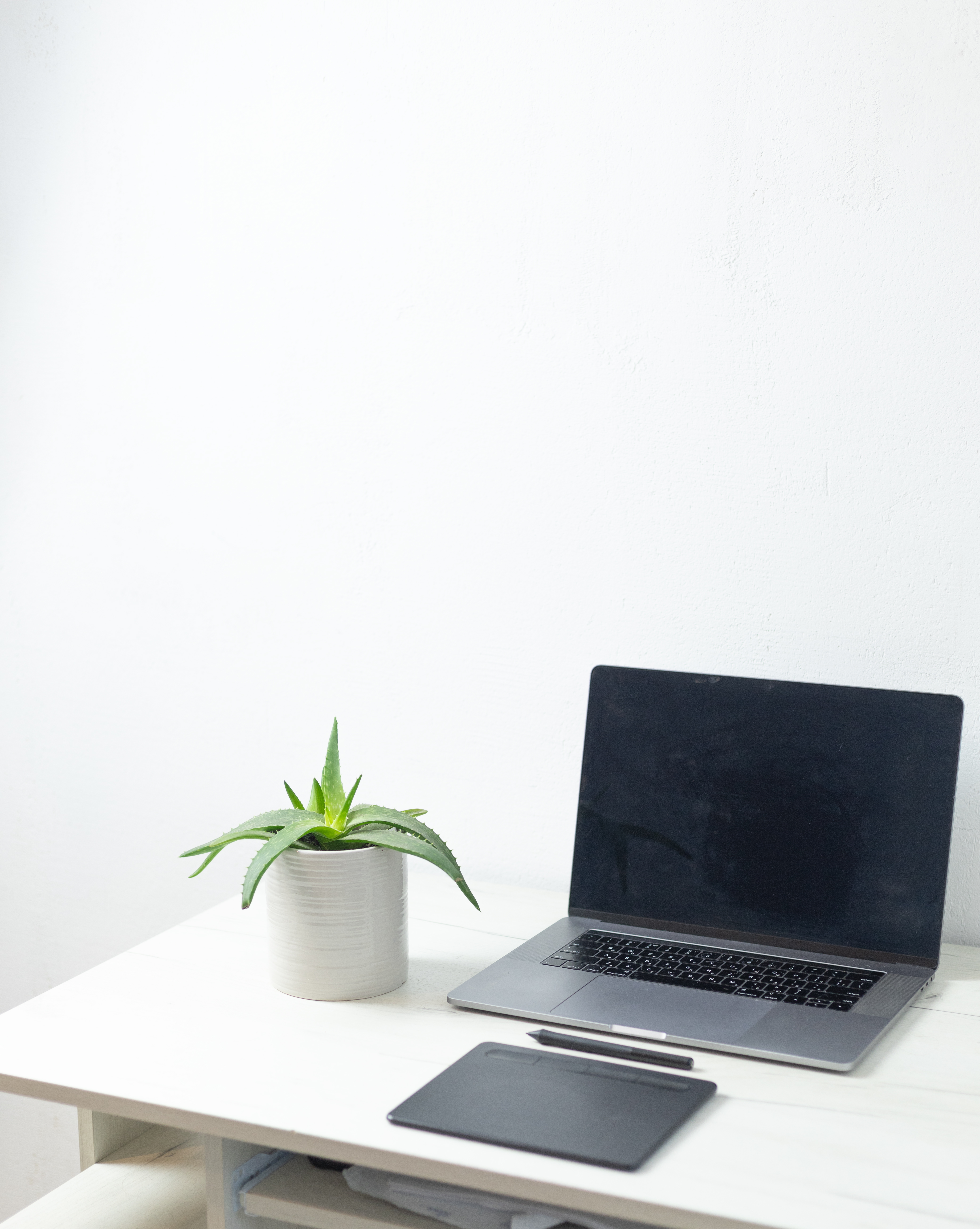 Why Ongoing Digital Support is Vital for Sustained Website Success 7 a workplace with a flower pot a laptop a graphic 387d4bb10cb47da7c7ae