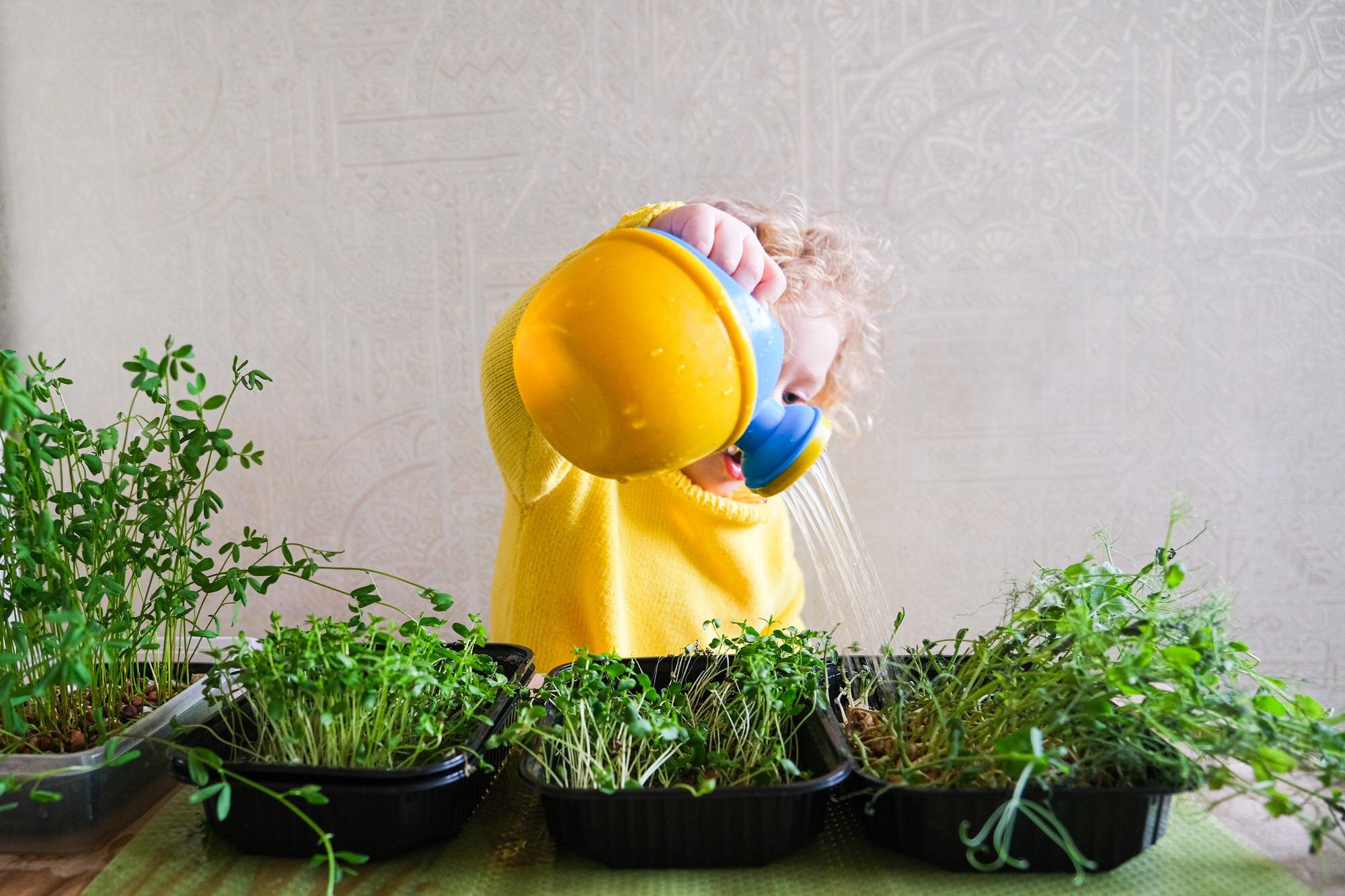 nature heroes for kids