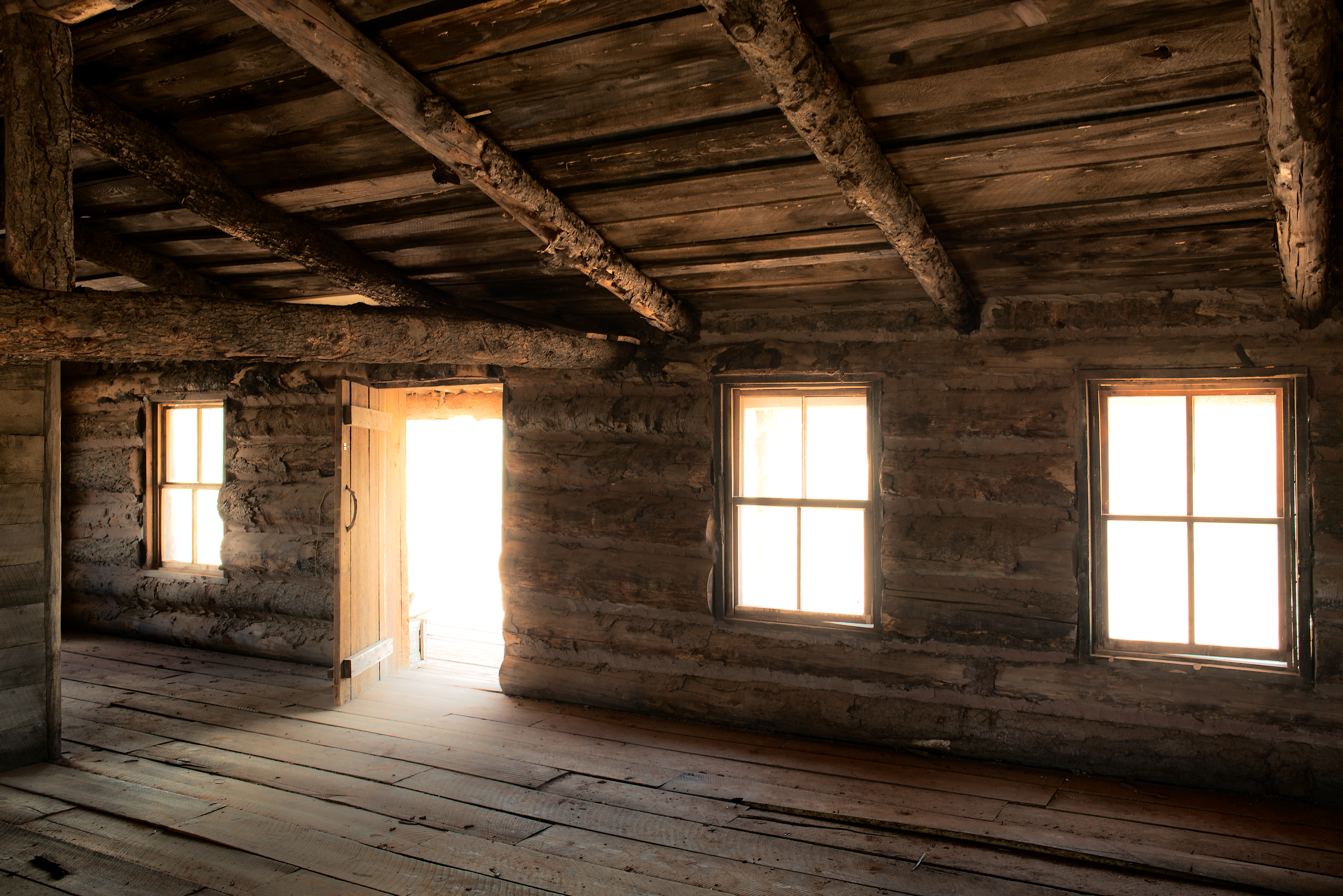 From Heritage to High Times: The Evolution of Cannabis in New Mexico