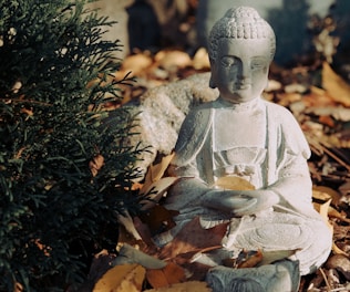 about image 9999f594c1635122f63e