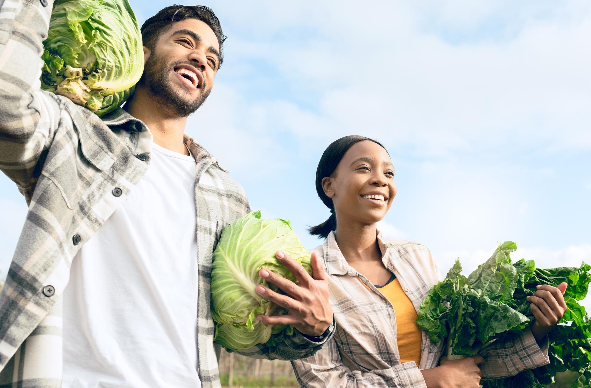 Cultivating Knowledge: How Agricultural Awareness Benefits Families and Local Businesses 5 agriculture farming and couple with green vegetabl a7605a0d14fcb1e1b71d