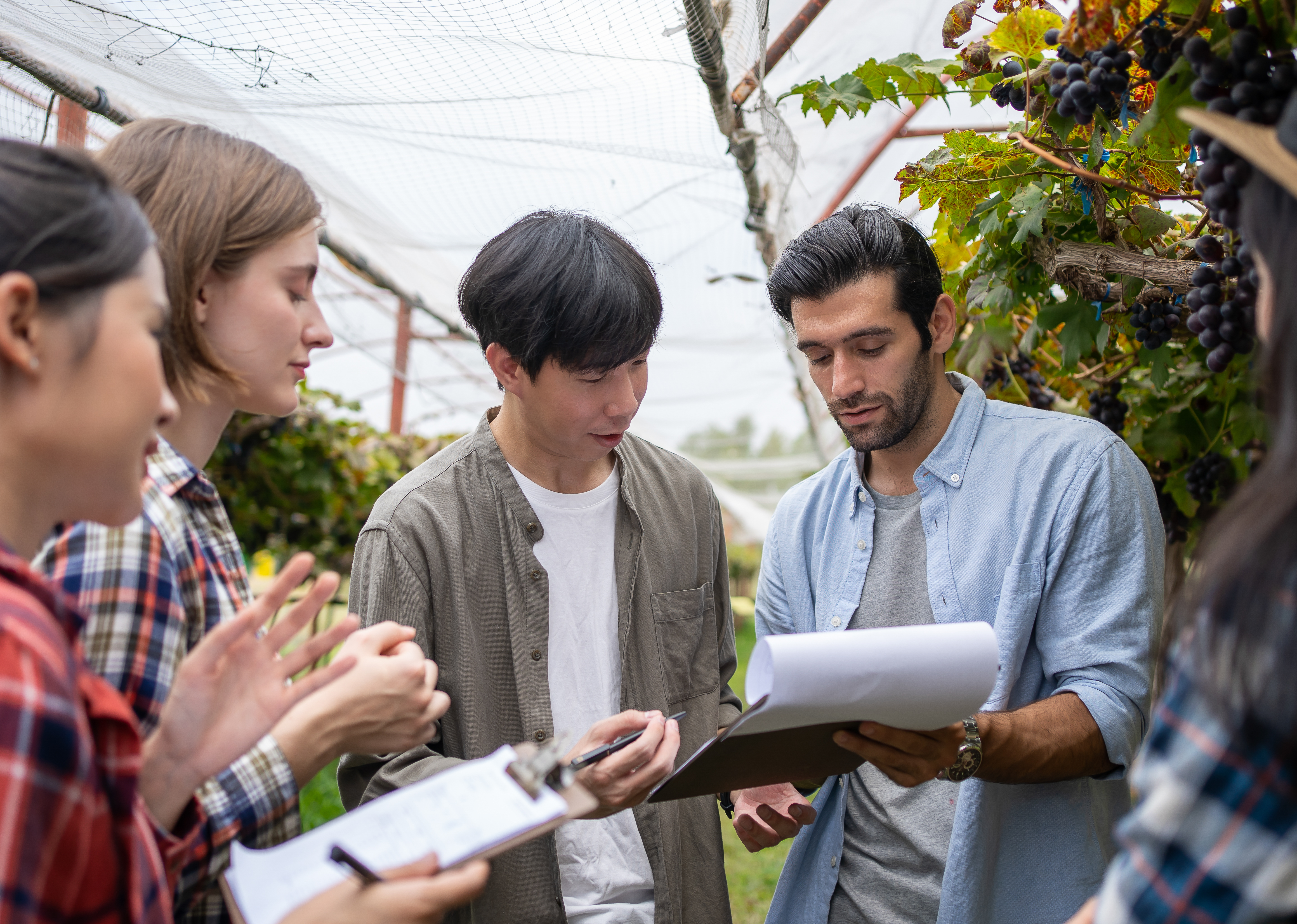 Eco-Friendly Choices Start with Knowledge: The Surprising Benefits of Agricultural Awareness 5 agriculture group teaching diversity students 5896fa372c62920538a2