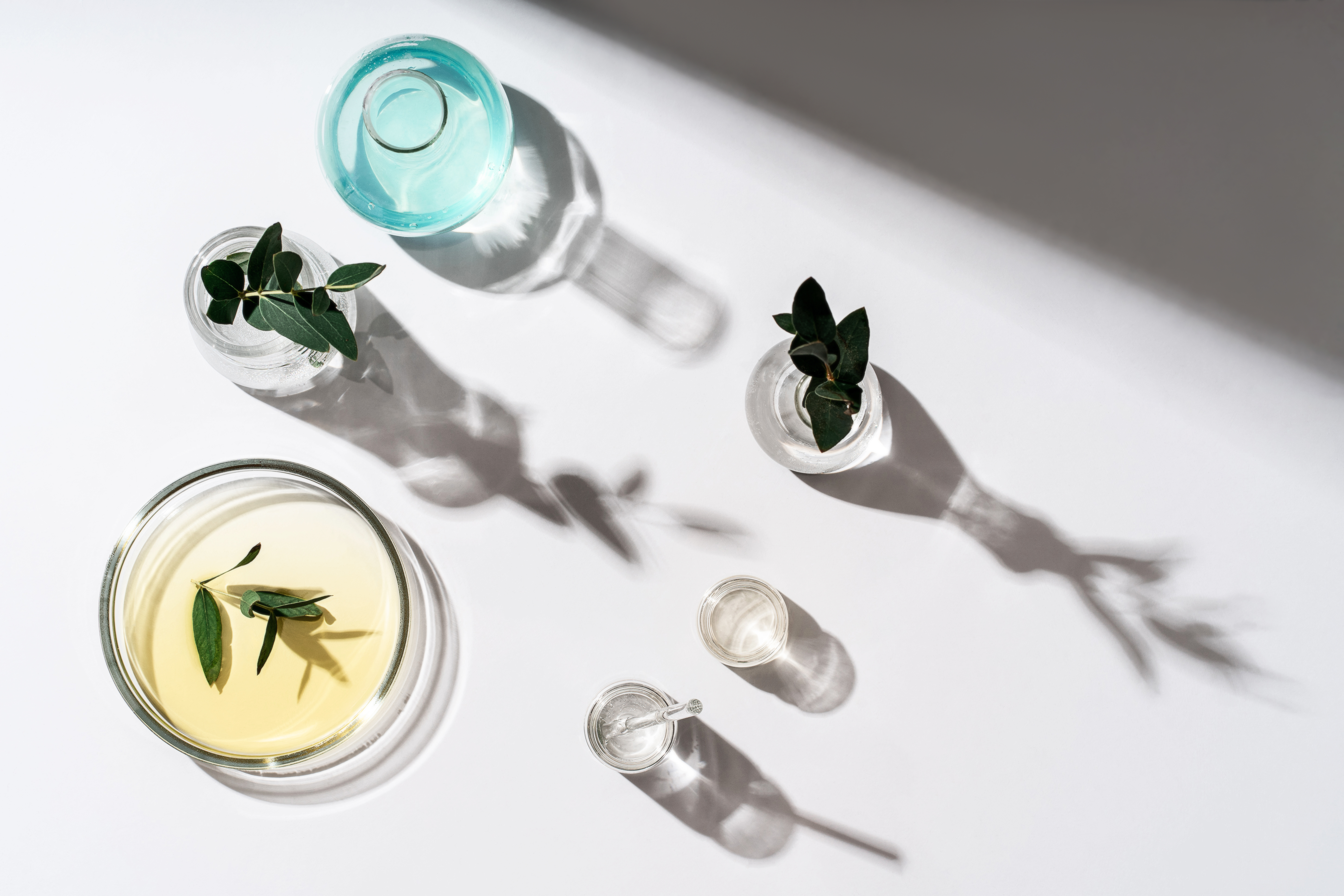 Alternative Natural Medicine And Glassware Flasks F947E82Dd484Fb04316D