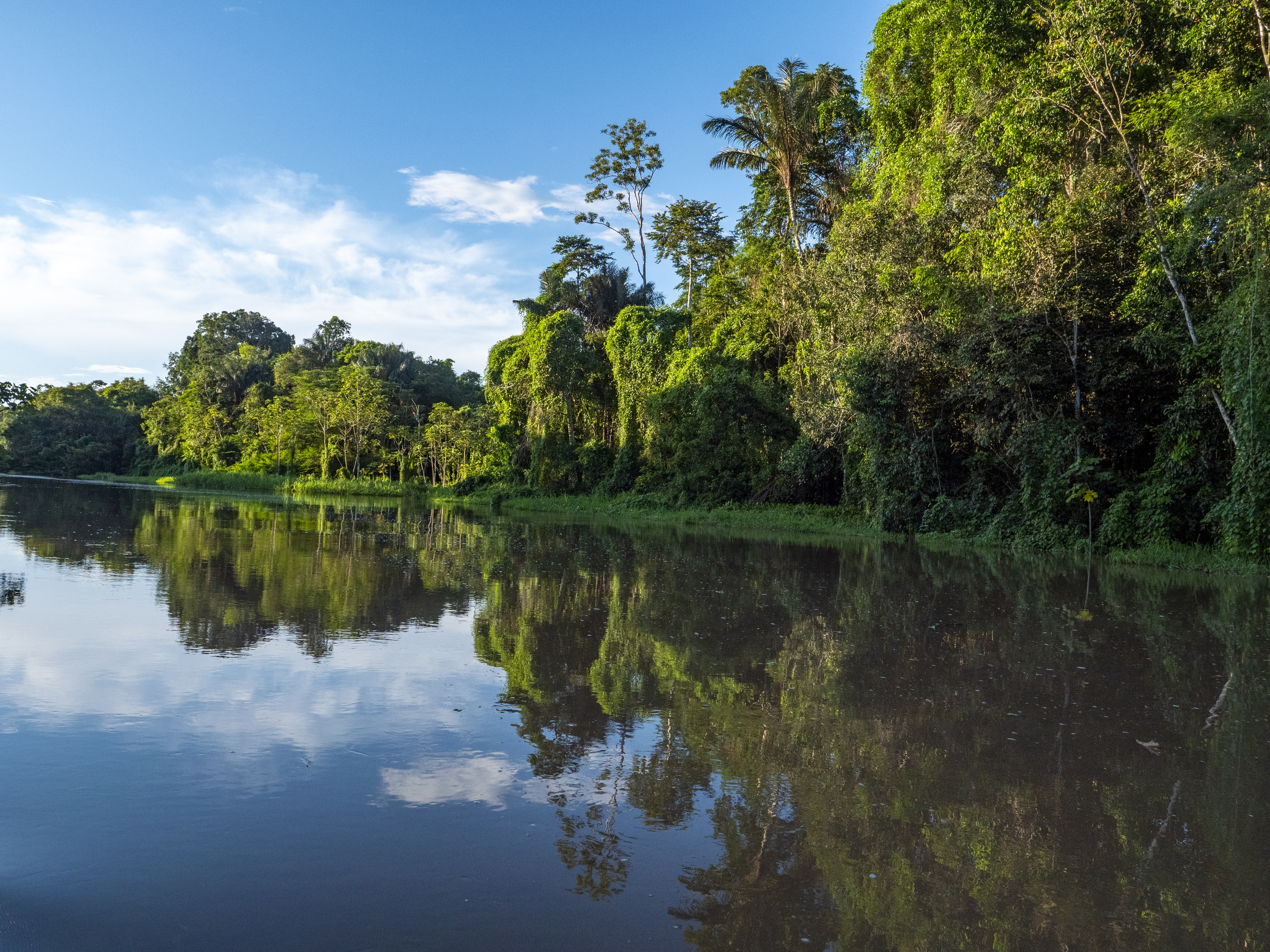 amazon river landscape near the town of tefe 03bcf72ca4d3cb1703d8