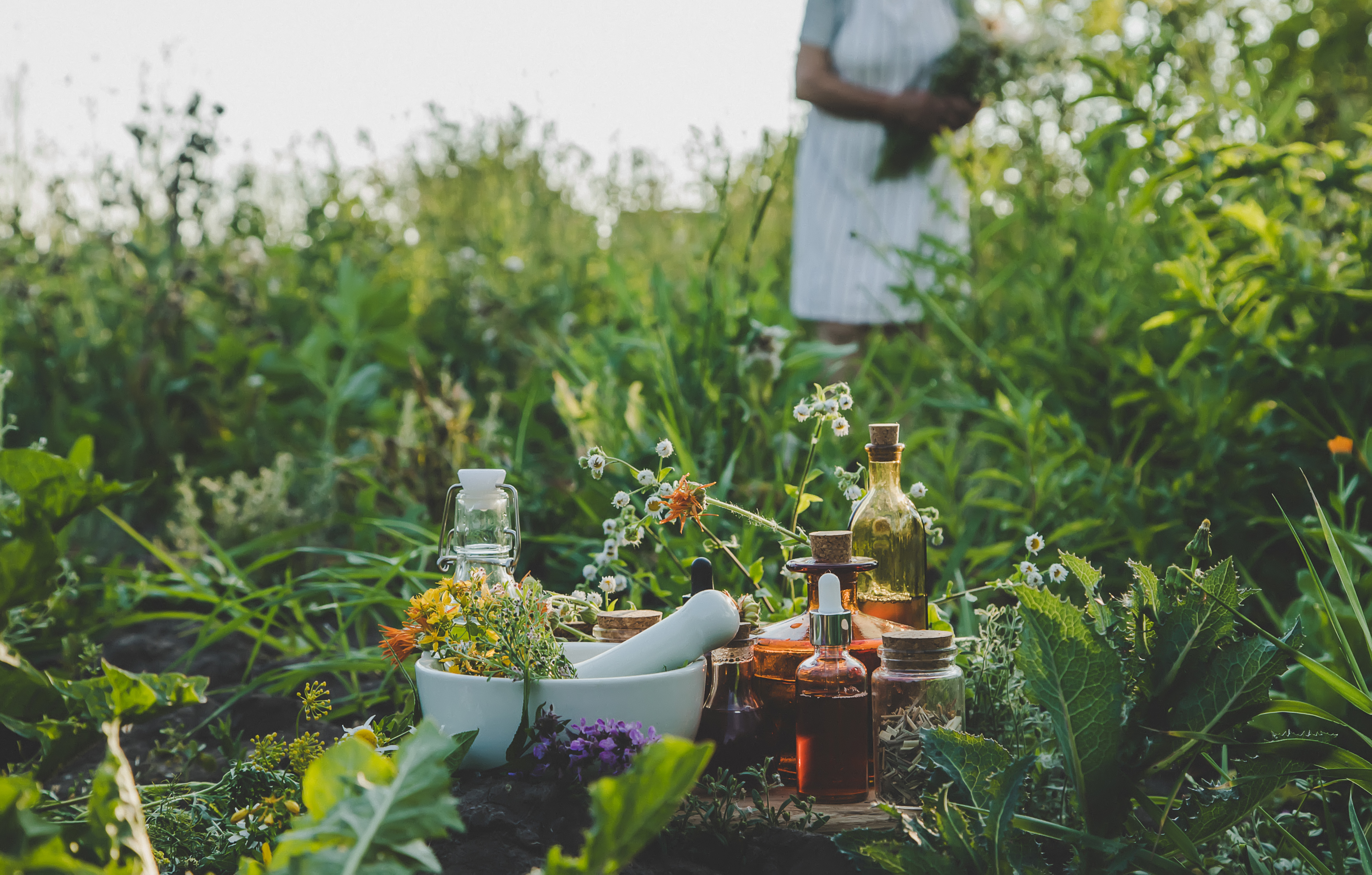 Rooted in Her Wisdom: Ancestral Herbal Remedies for Grounding and Healing at the Yosemite Goddess Festival