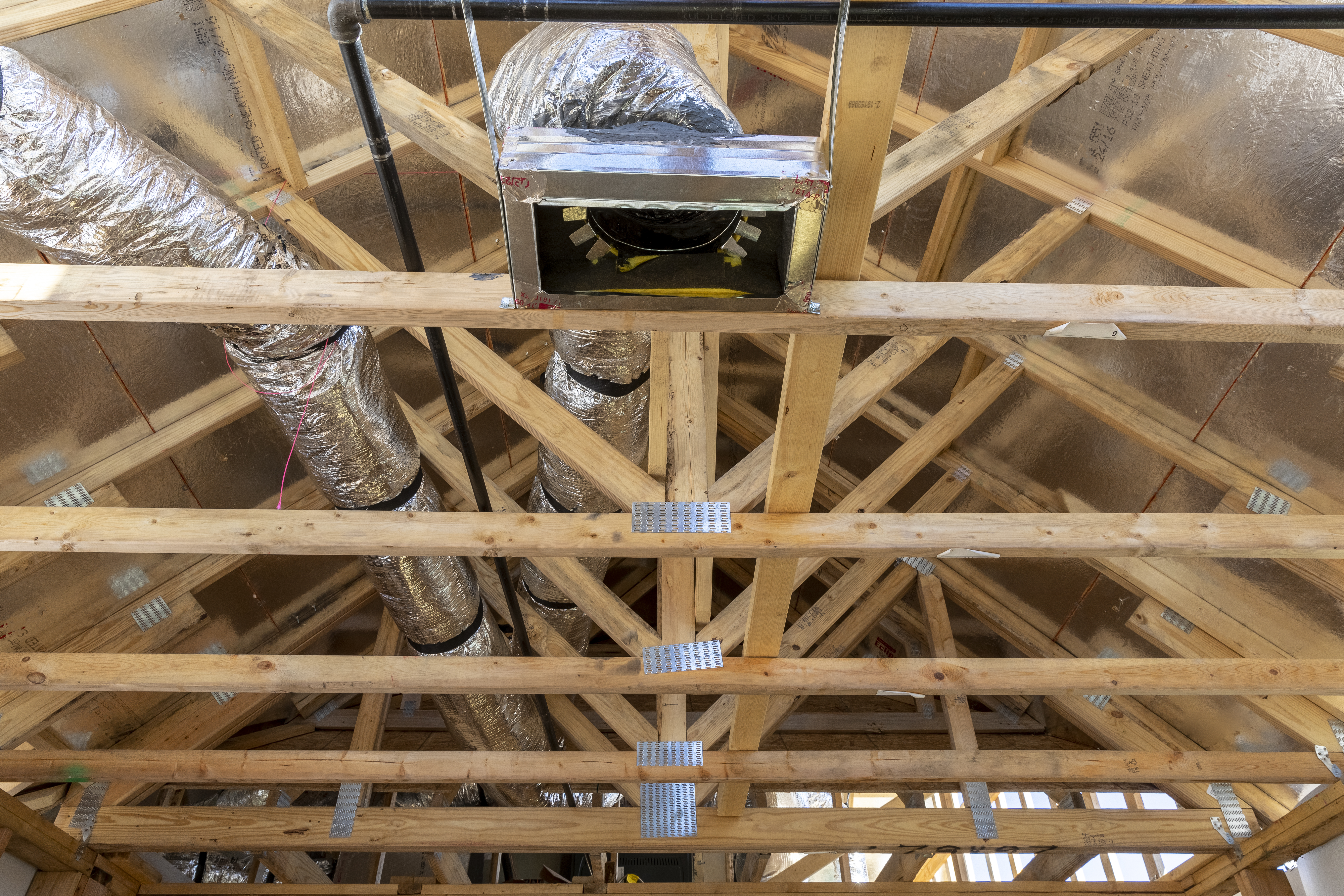 Importance of Safety in Home Inspections