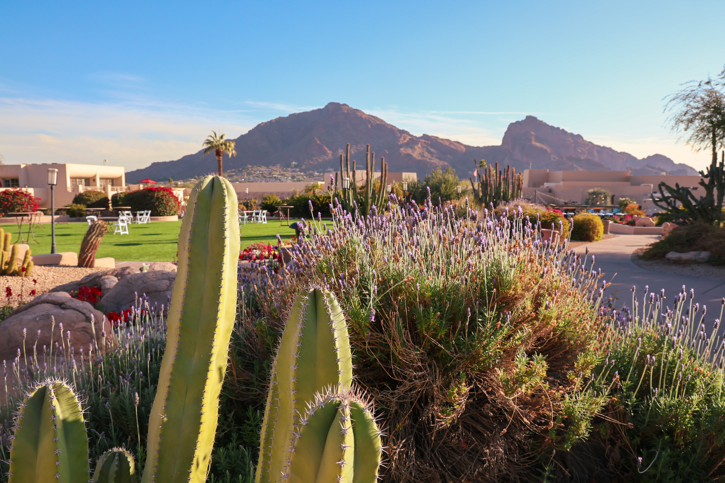 Discover the Difference with Scottsdale's Leading Realtors: Andrew & The Holm Group