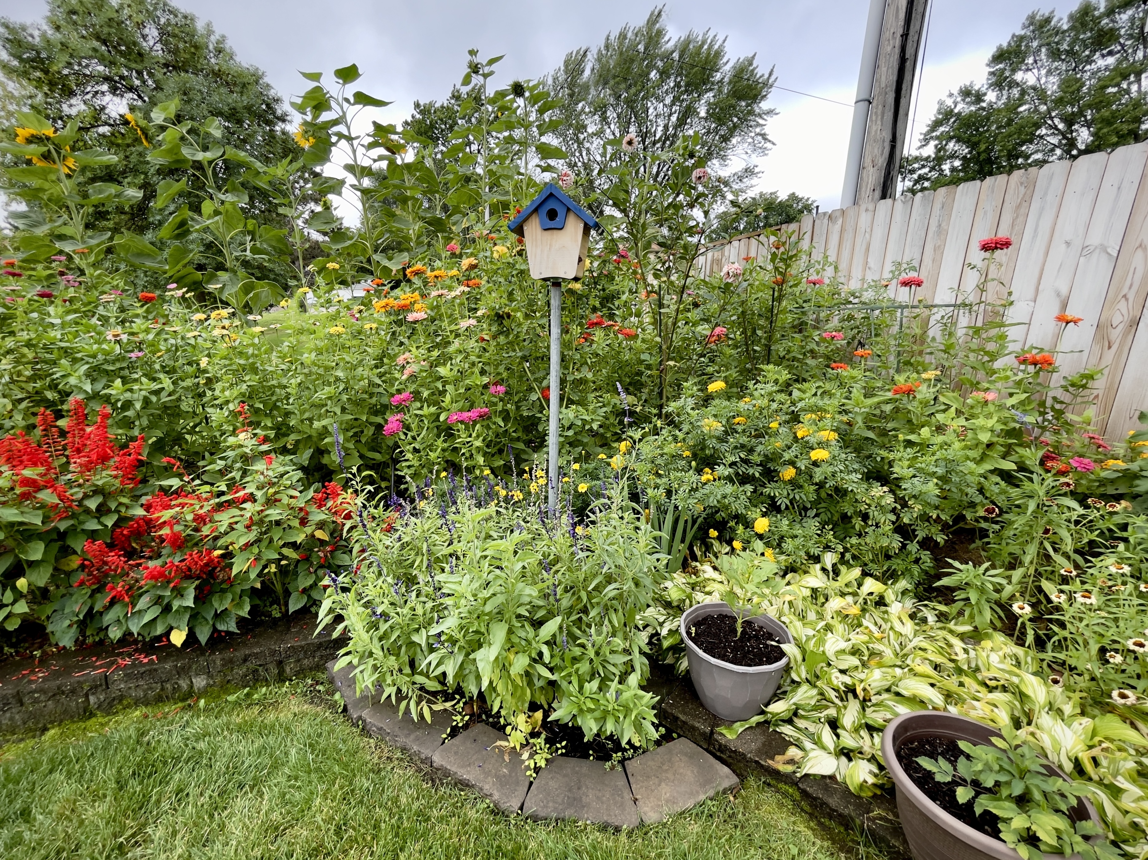 Backyard Garden Bird House 82a74af6a4aaa7fa75aa