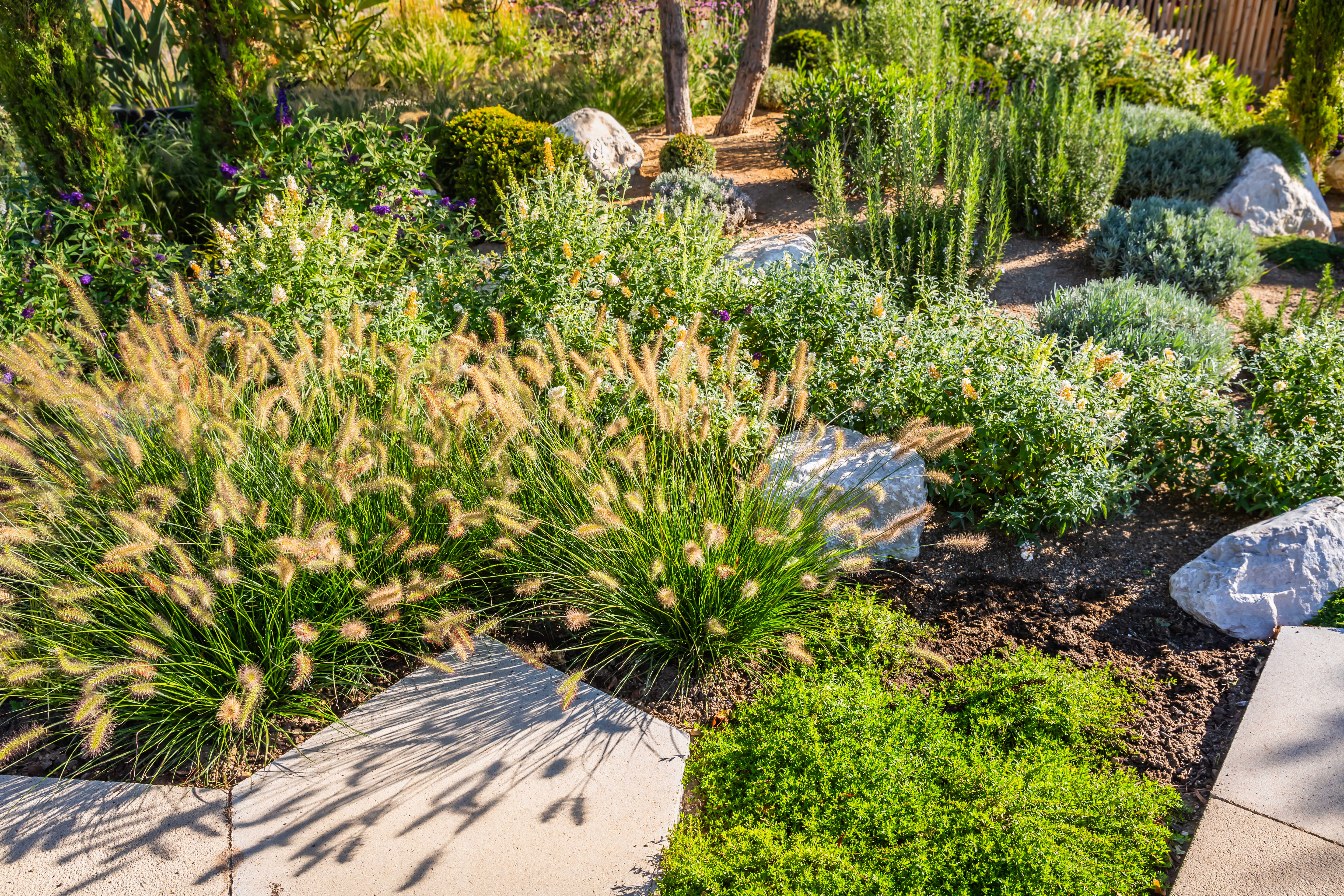 Conception de jardin durable et résistante à la sécheresse
