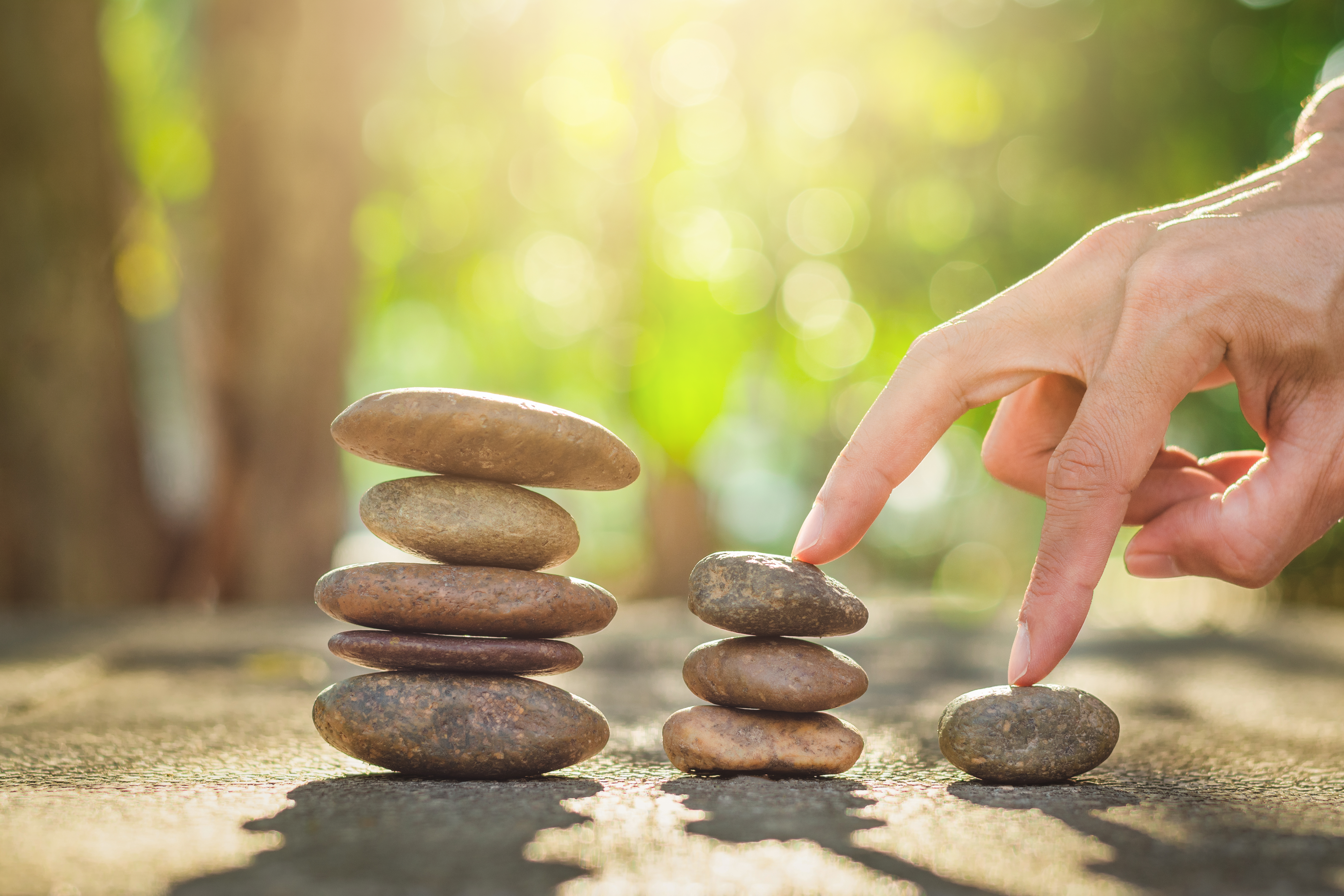 Harnessing the Power of Small Habits for Big Wellness Wins