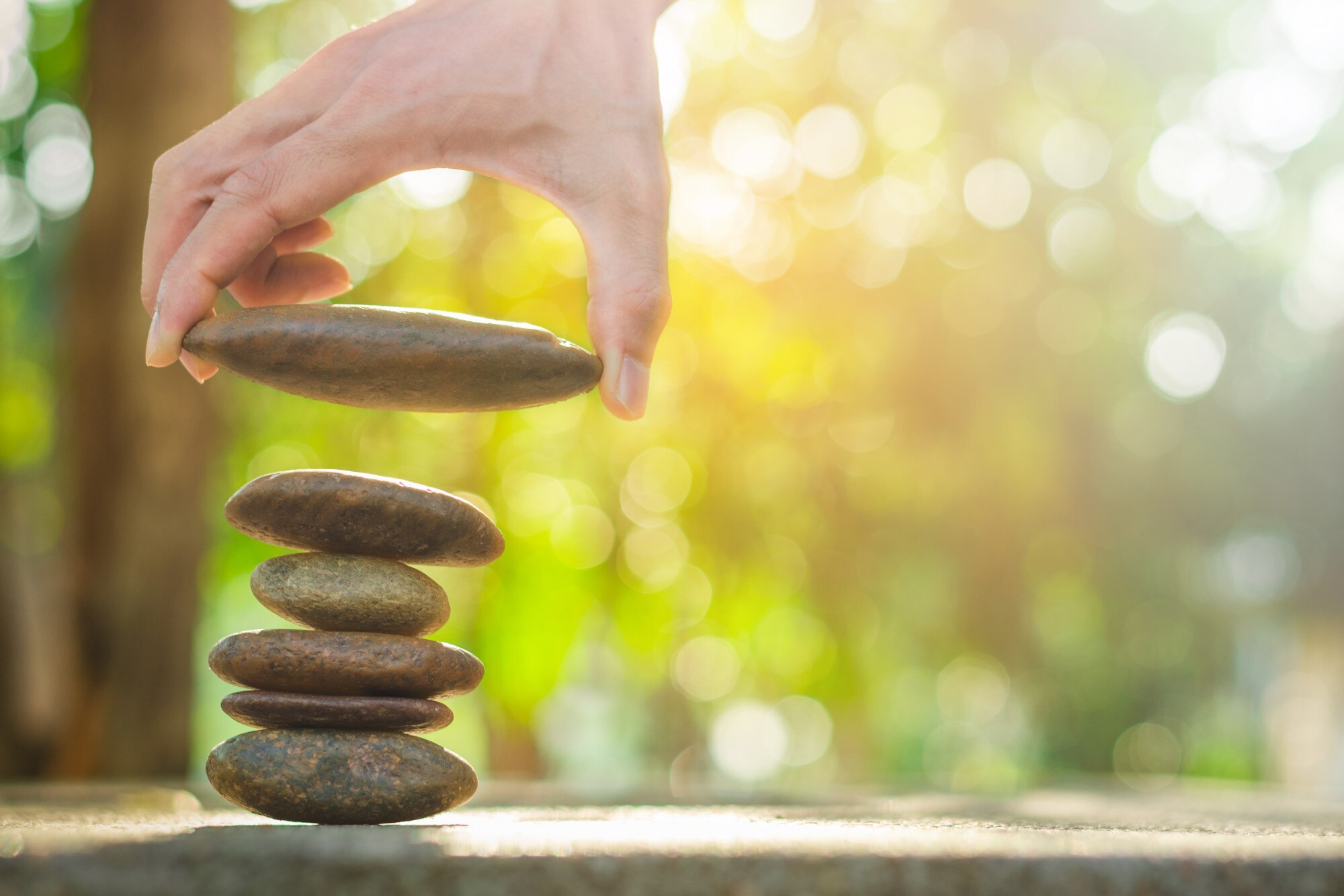 Aligning Wellness with Your Values: The Secret to Lasting Success