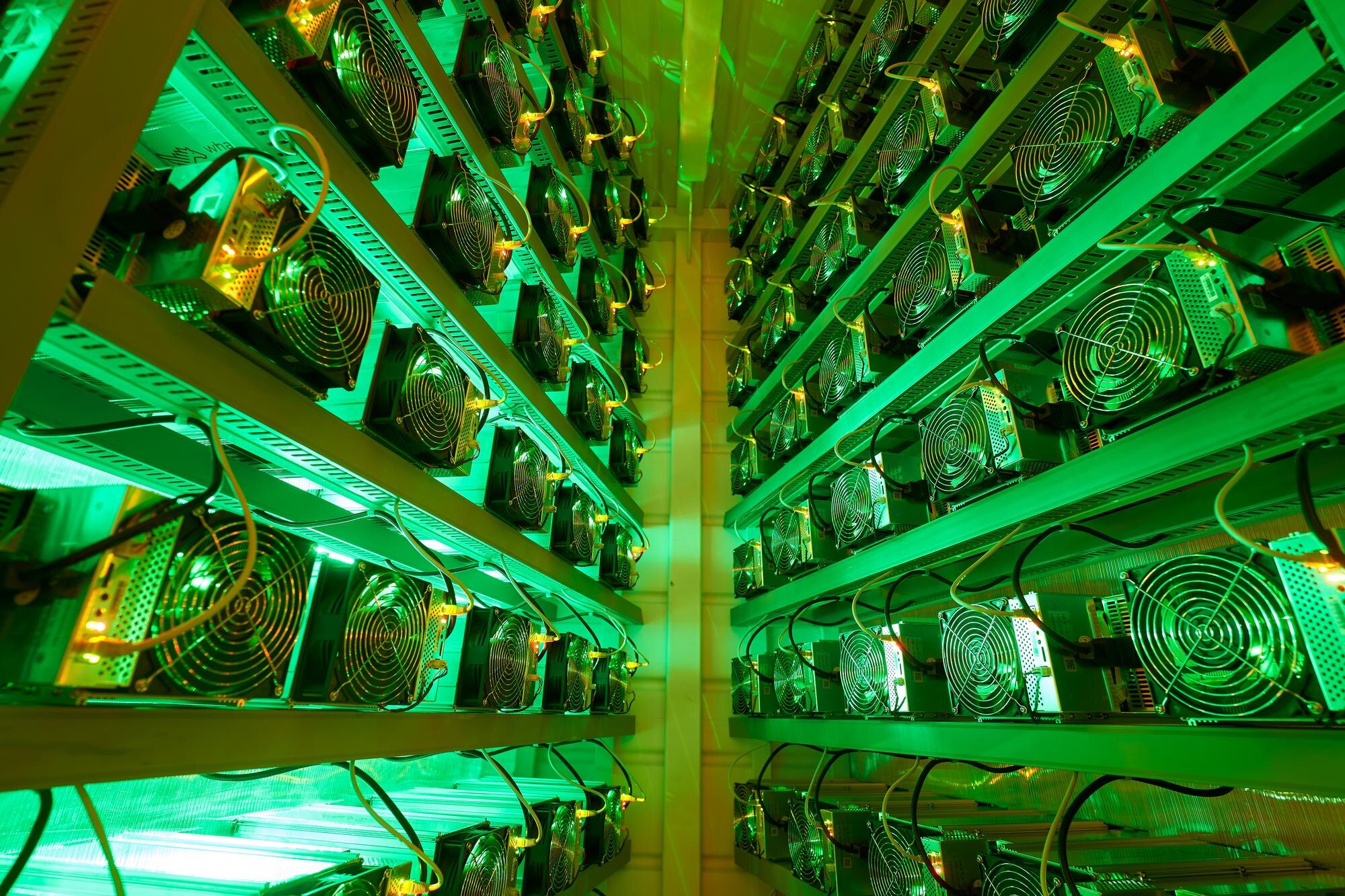 bitcoin miners in large farm asic mining equipment b79b6794771163fc5869