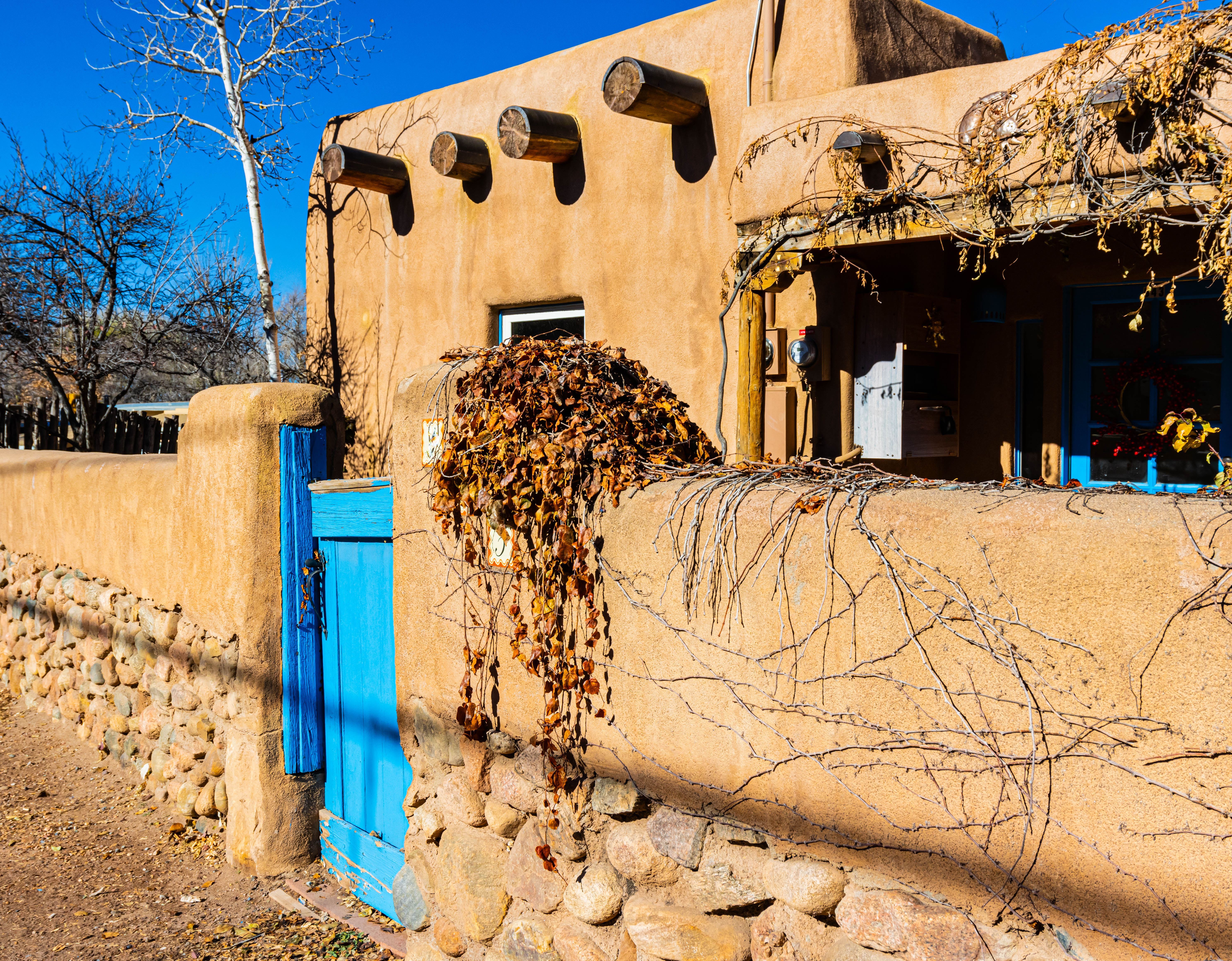 Journey Through New Mexico's Cannabis Heritage: Educational Insights at Elevation 6420
