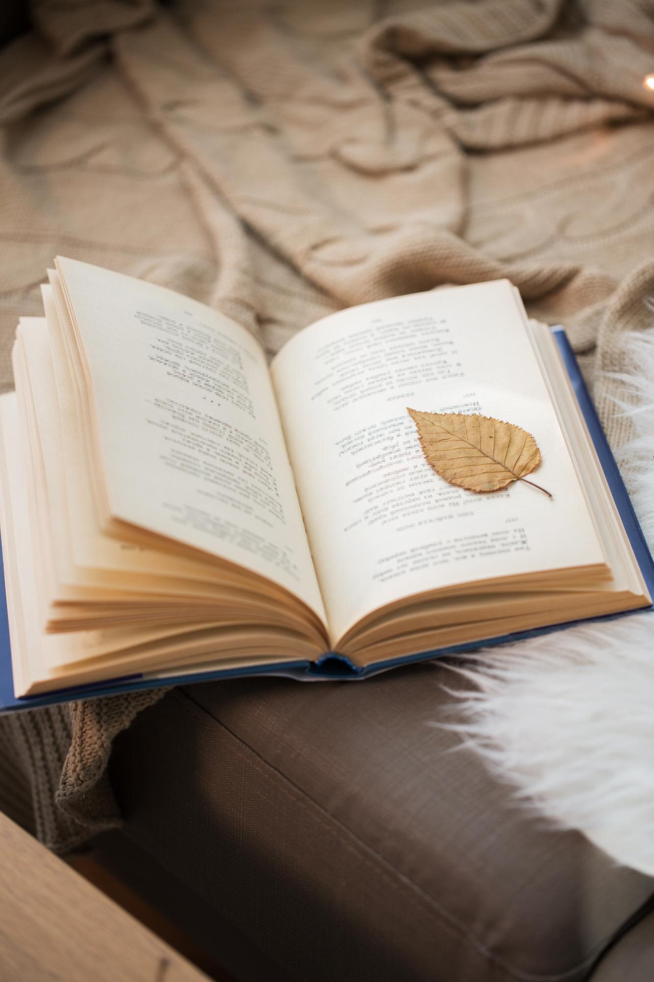 book with autumn leaf on page on sofa at home c937f6f1aa41c5f0f60d