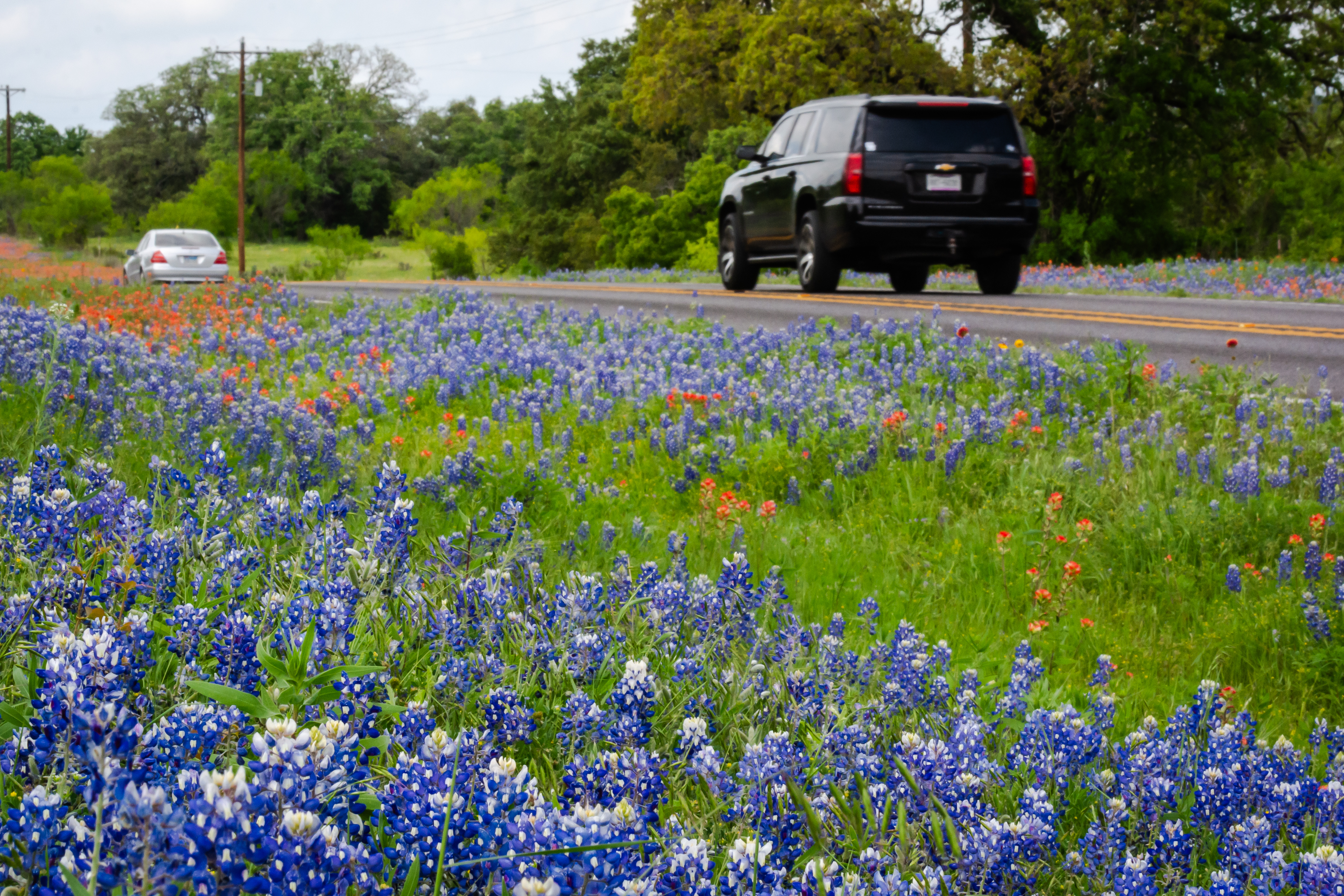 bright bold and beautiful country roads in texas 92f8477bf2ef849a35d0