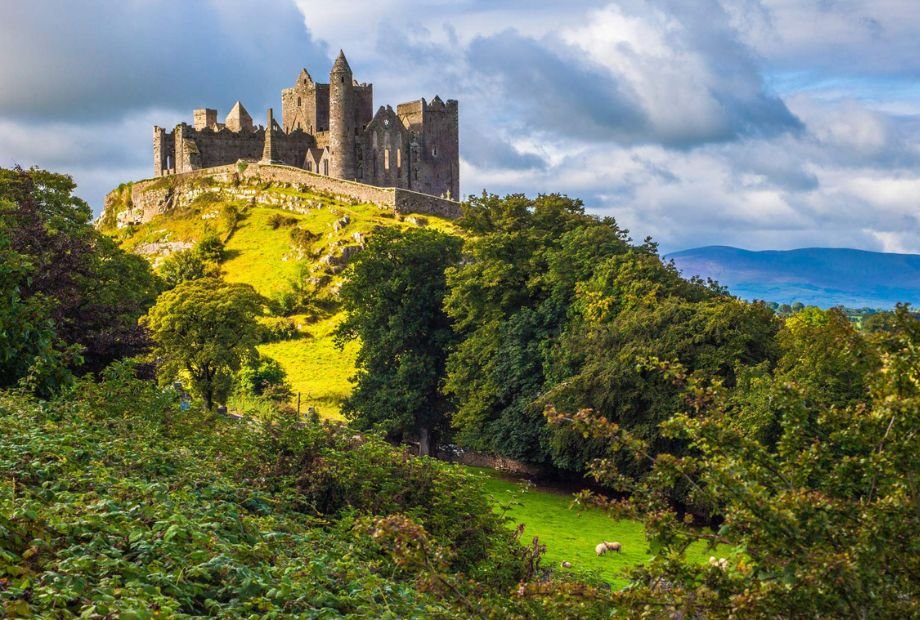 btours 6fd97bc487286f306df2 BTOURS