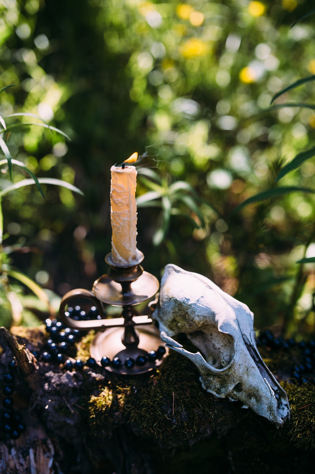 burning candle and old scull in the enchanted fore d27920e431f6e263ab5a