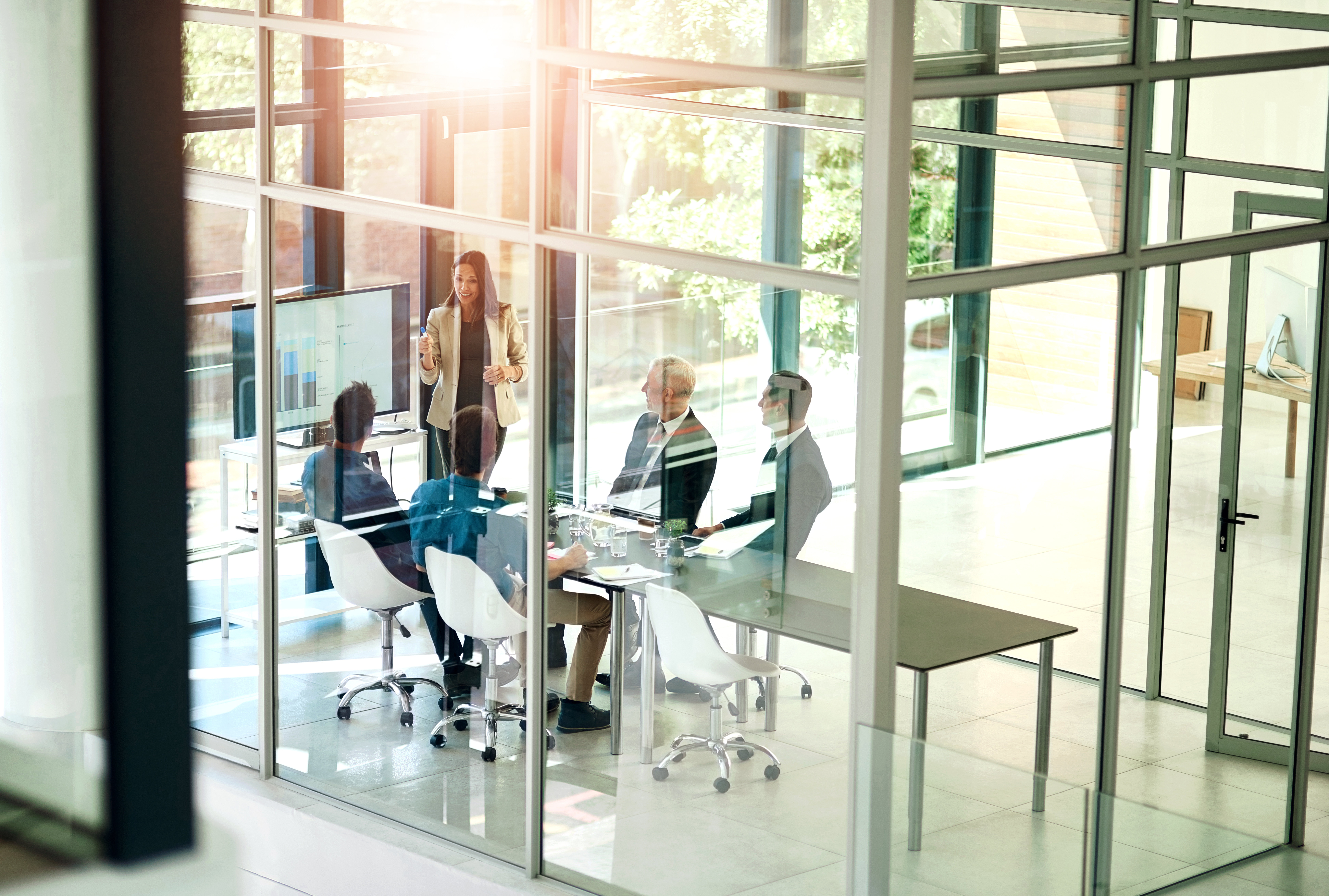 Unleashing Potential: Customised Energy Training Solutions for Dynamic Market Demands 2 business woman presentation and meeting room glas 5005424d91adbb604fb7