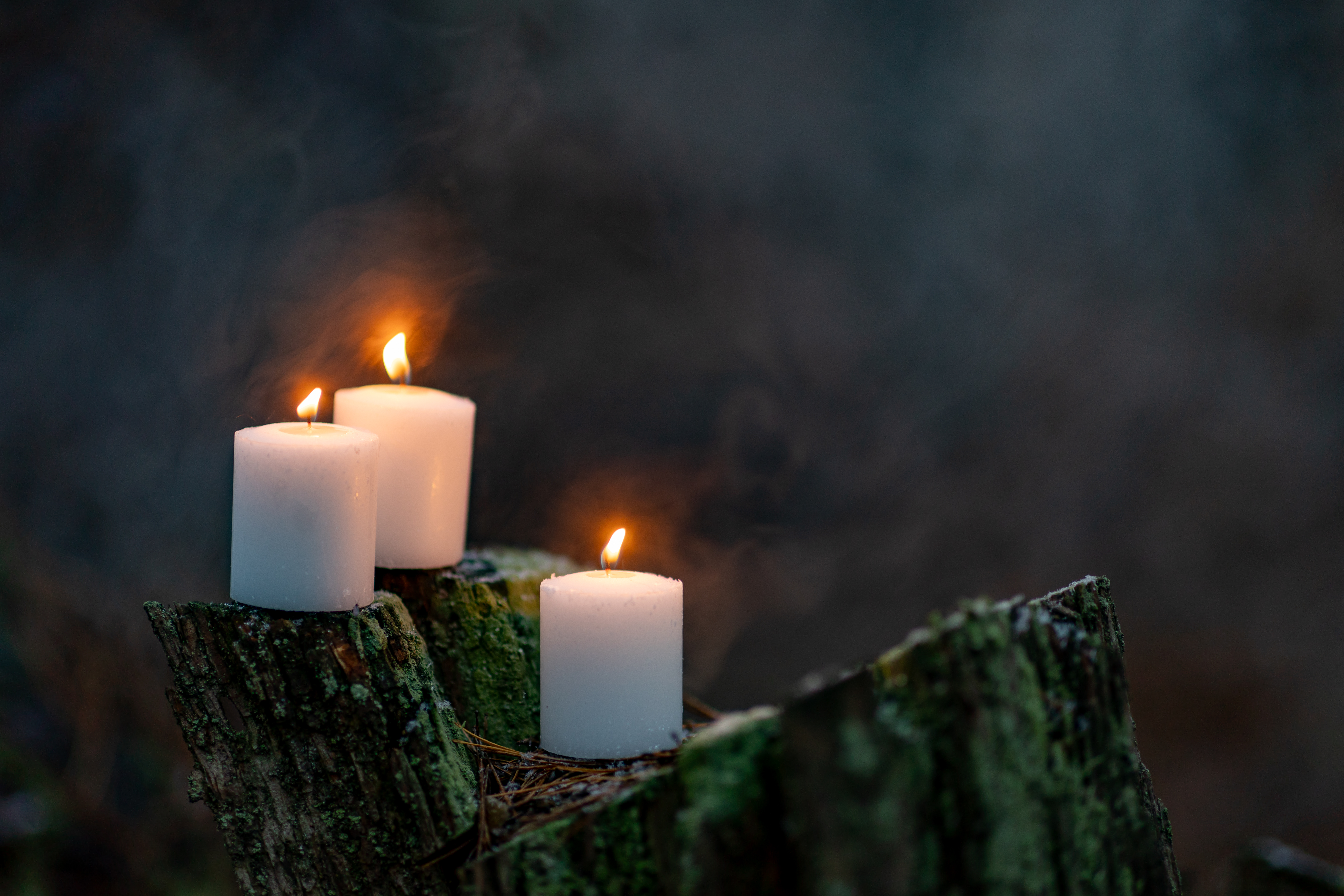 candles on stump in forest natural background oc 4330b88867eea73d8f79