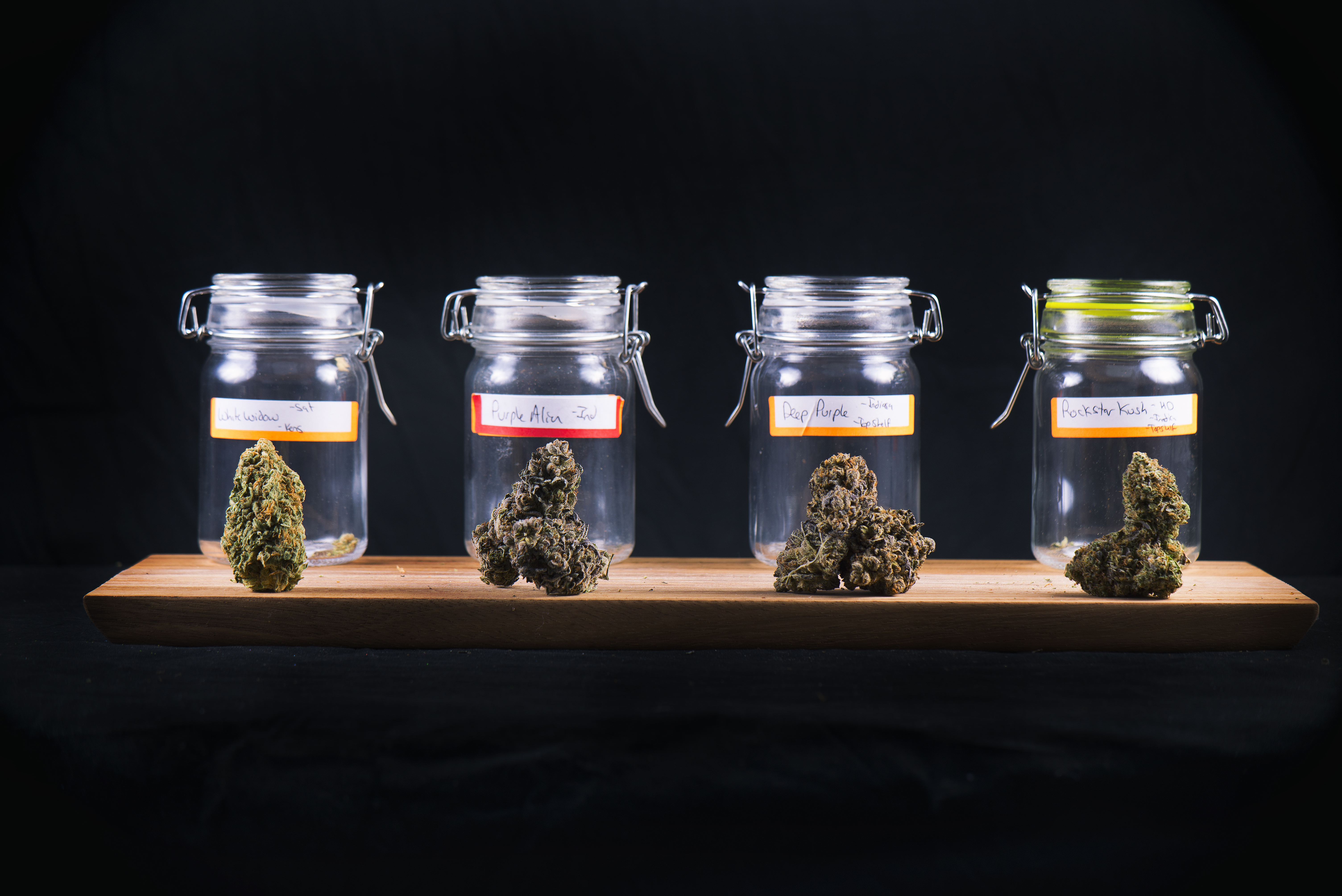 Terpenes 101: How Aroma Shapes Your Cannabis Experience at Elevation 6420