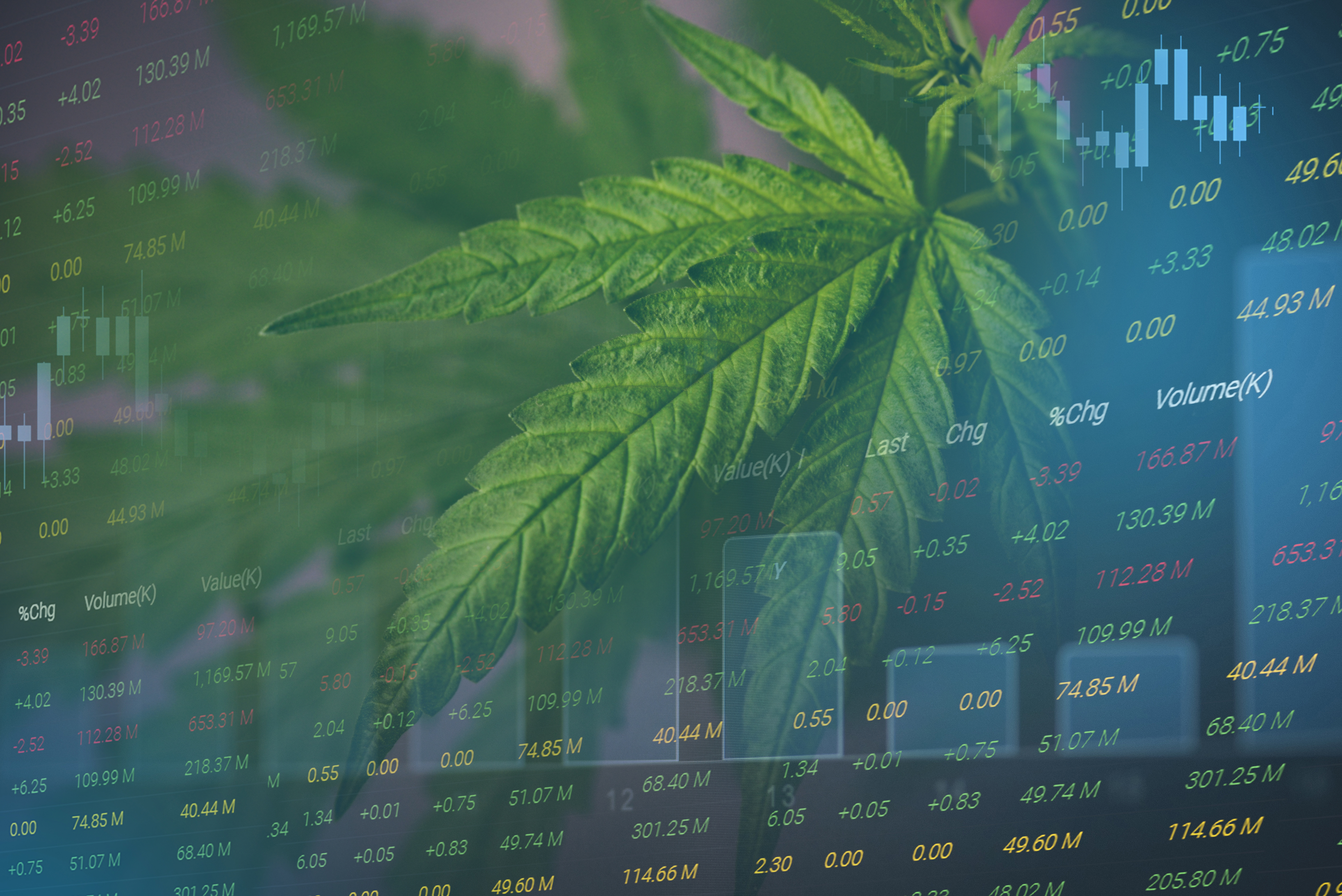 Data-Driven Growth: Market Insights to Elevate Cannabis Brand Visibility