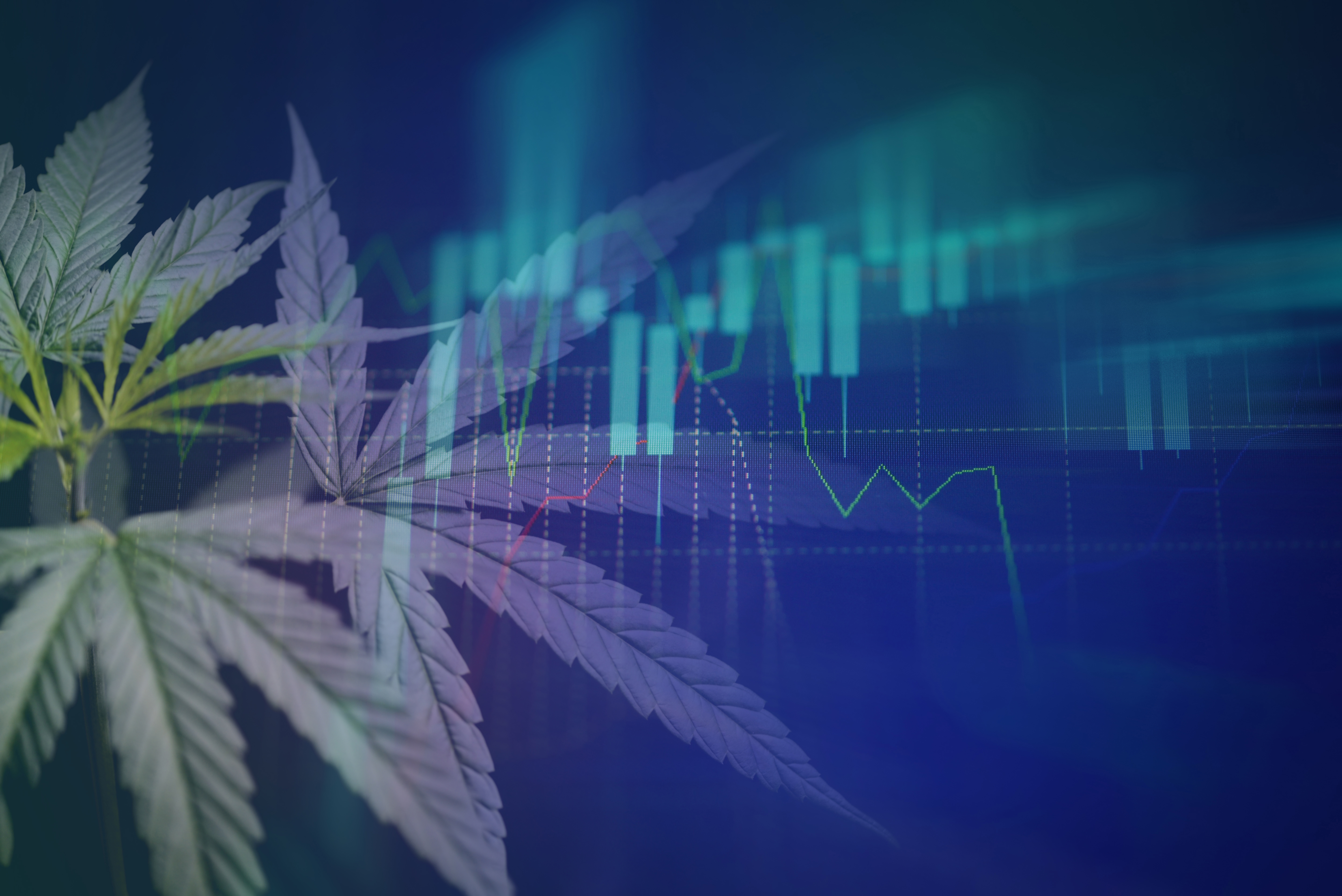 Connected Cannabis Wins: How Dispensaries and Ancillary Businesses Grow Faster Together