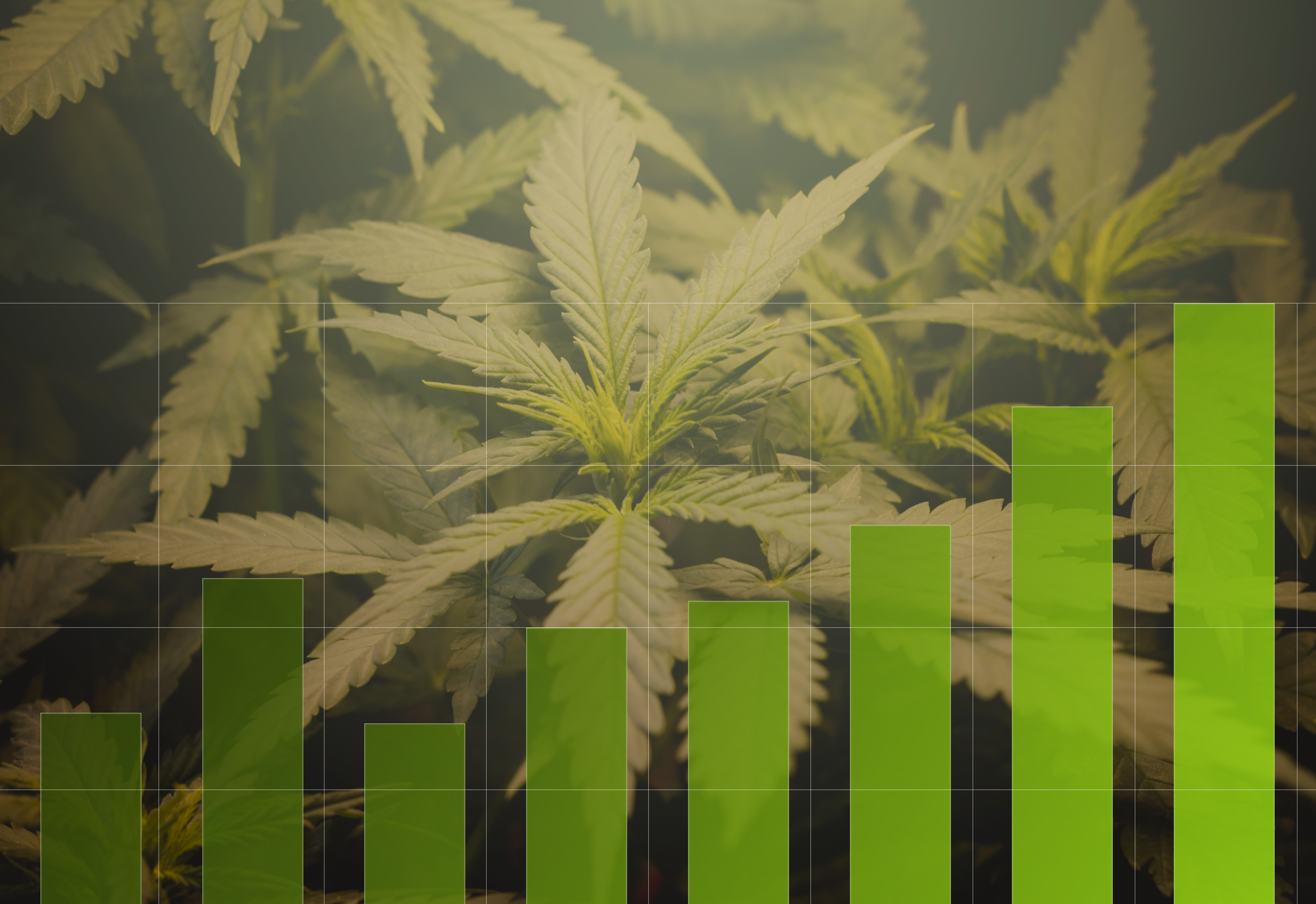 Unlocking Growth: Market Insights and Digital Marketing for Cannabis Brands
