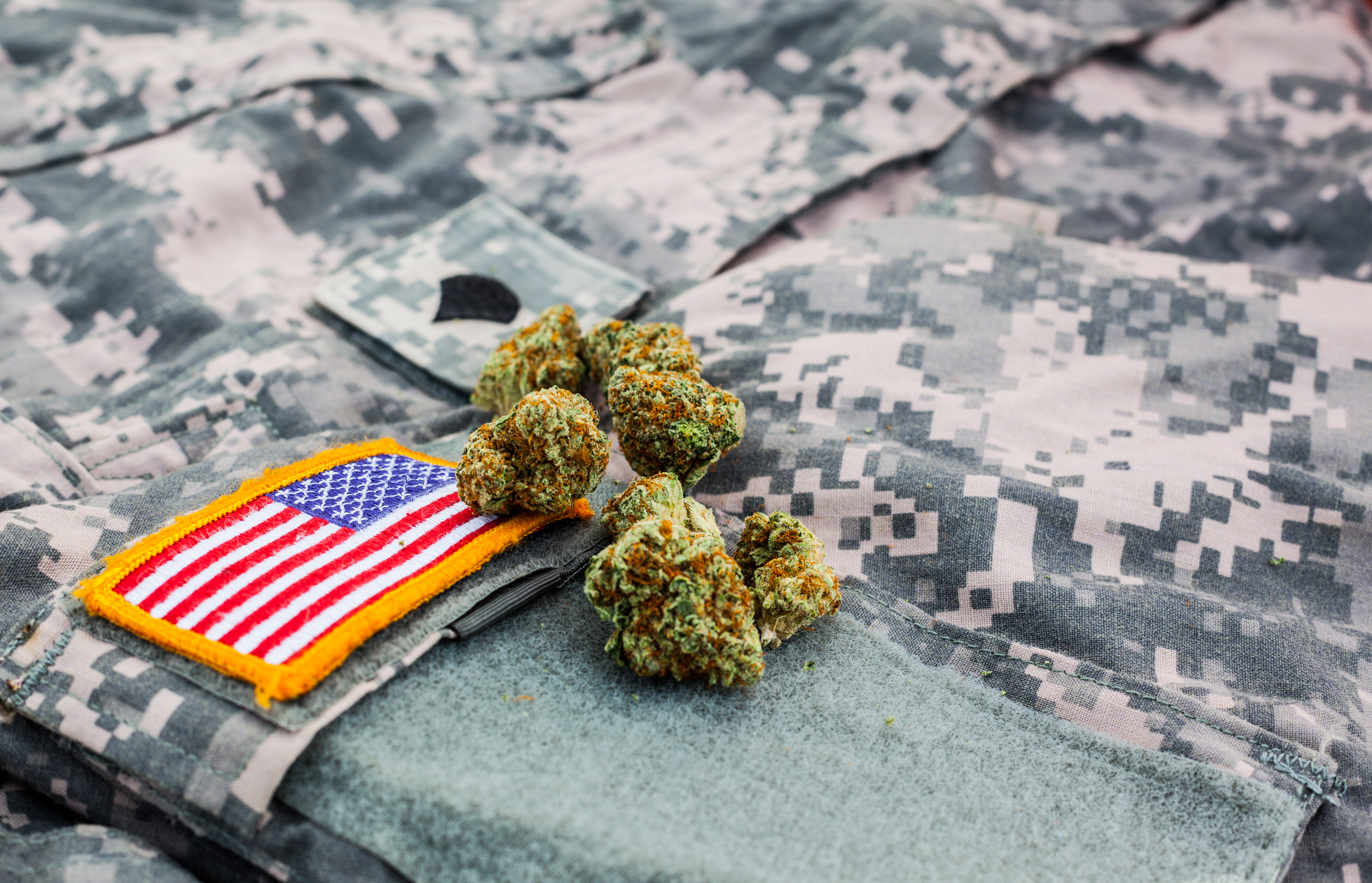 Veteran-Owned Tech: Pioneering Compliance and Operations in Cannabis
