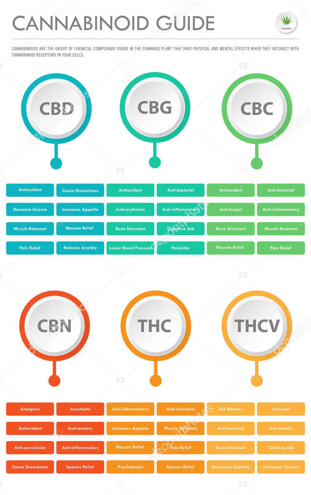 Museum Moments: Discover the Rich History of Cannabis at Elevation 6420