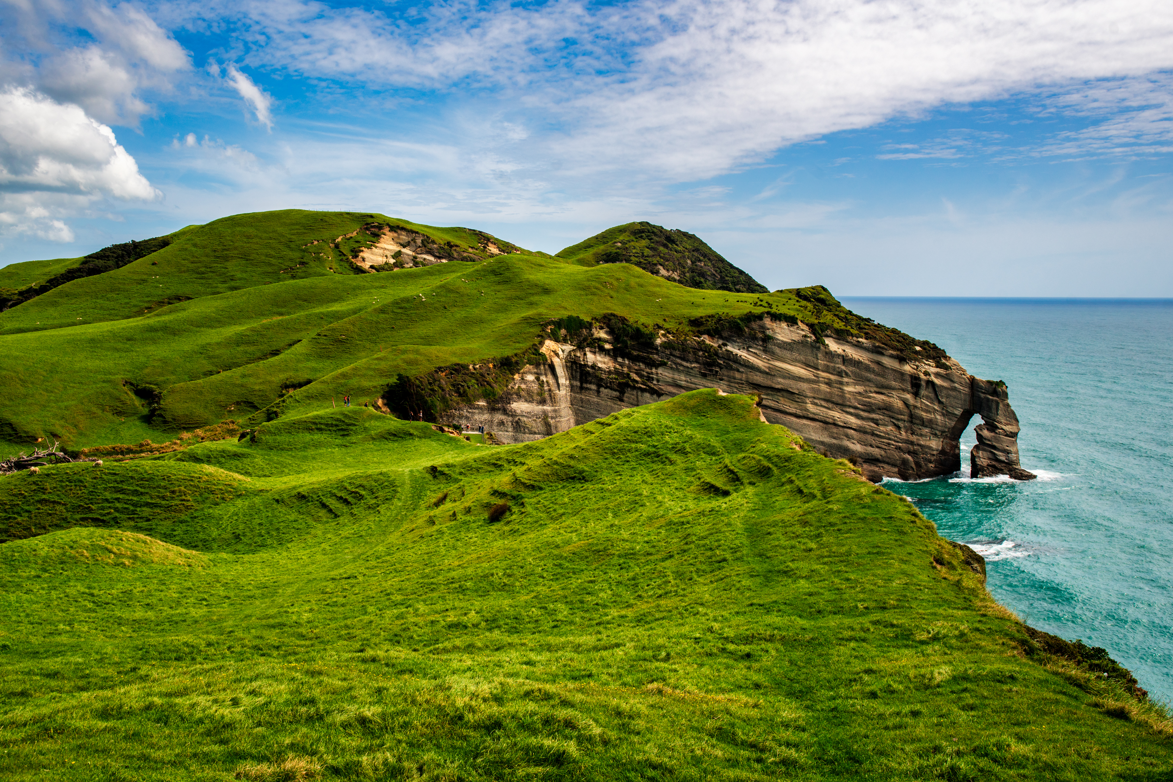 cape farewell lookout above the cliffs 7478c8ad68603ee543c7 BTOURS