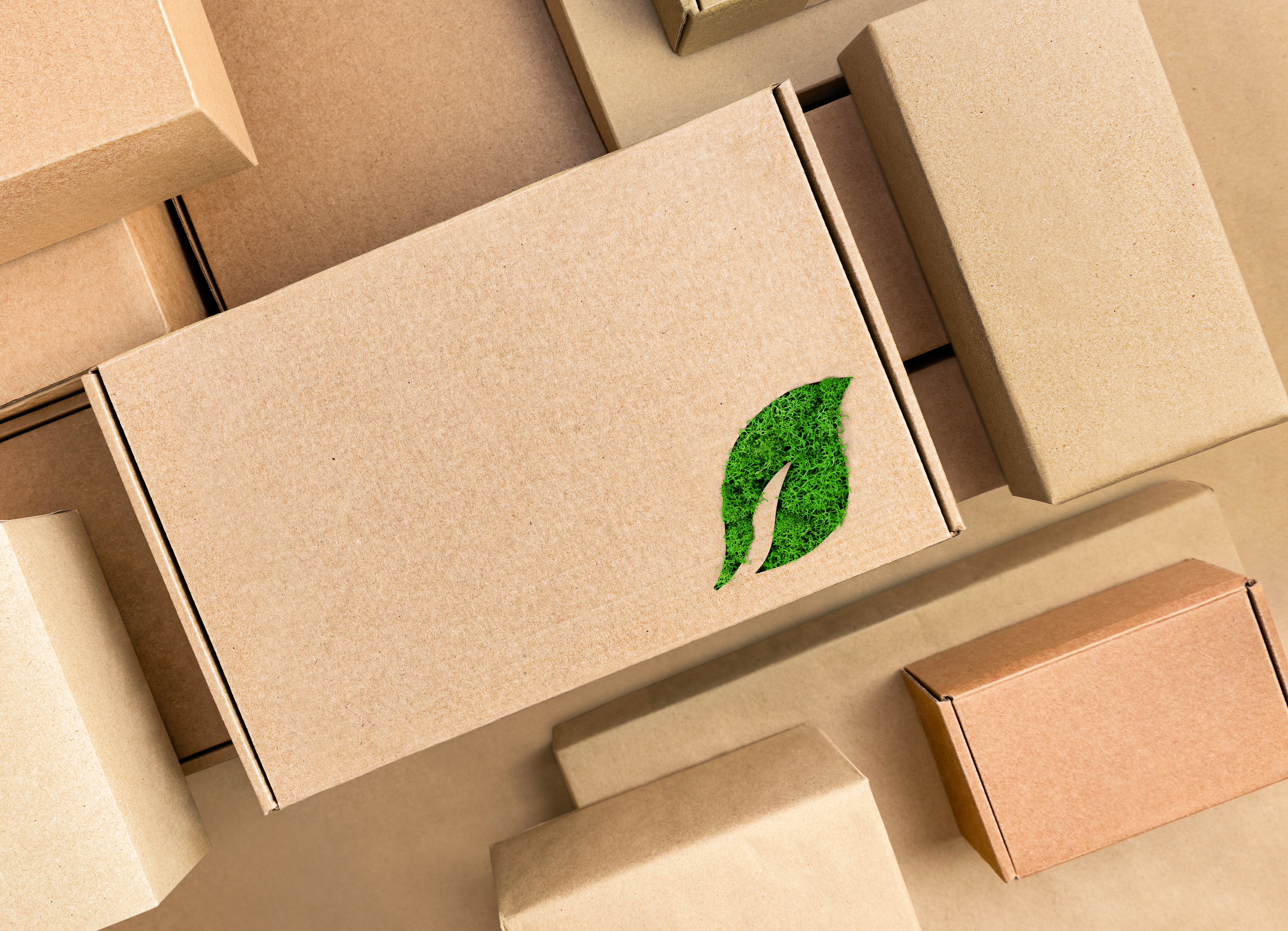 cardboard boxes with a leaf 5d1be8b0d11b89fc7d4d