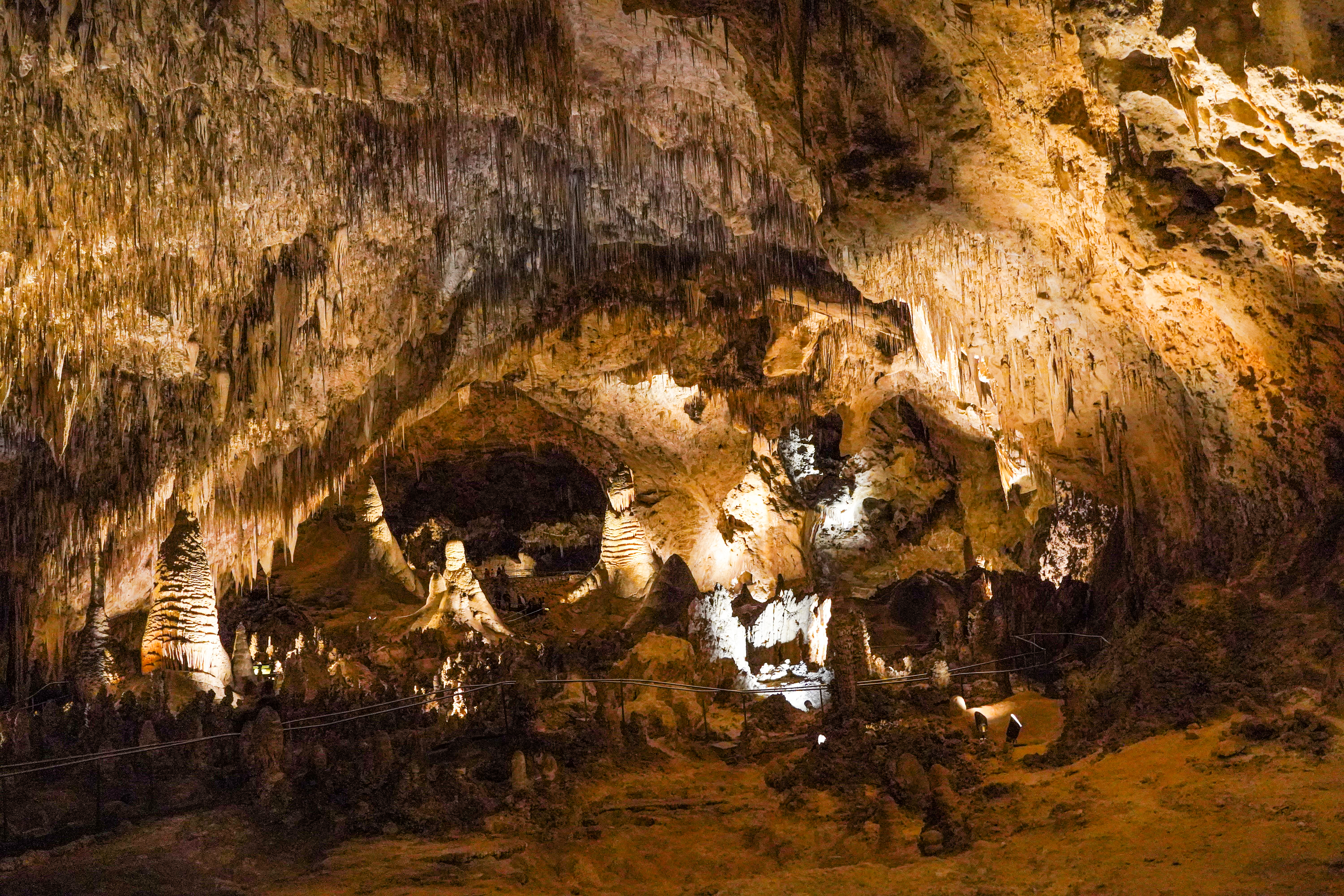 Unveiling the Green Journey: The Untold Cannabis Story of New Mexico