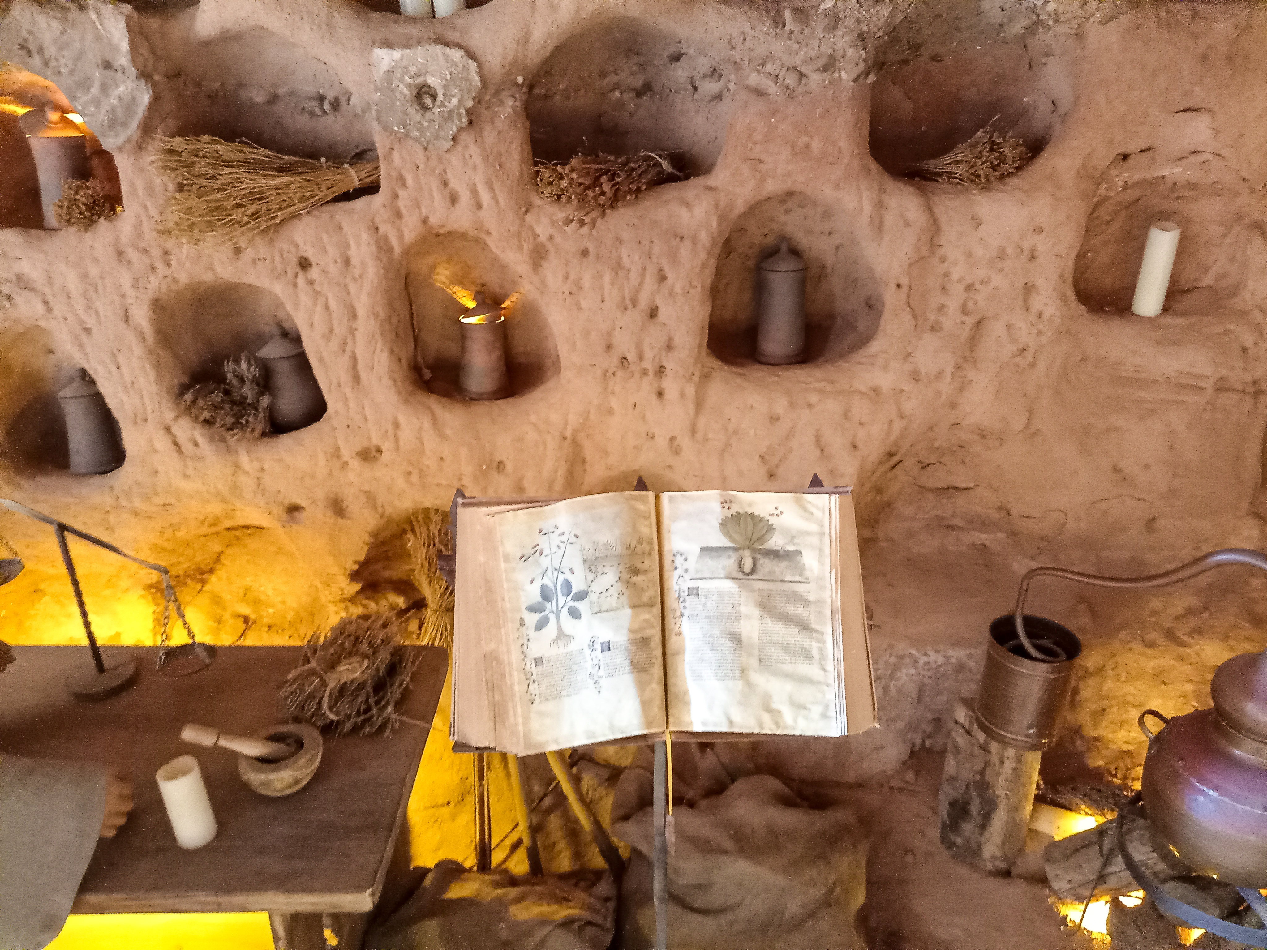 Museum Moments: Discover the Rich History of Cannabis at Elevation 6420