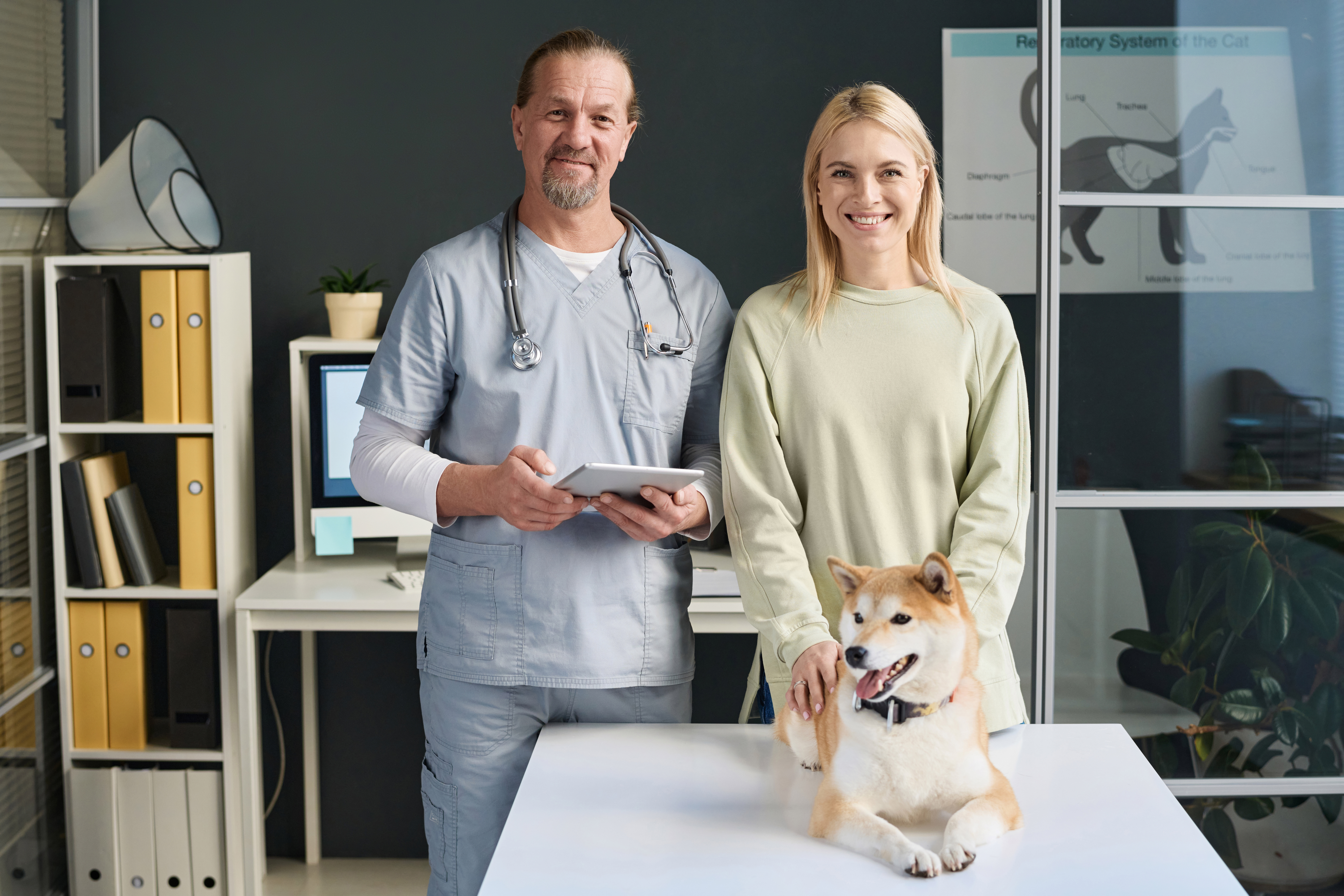 cheerful client with her pet and doctor after exam acf82c5470846558f564
