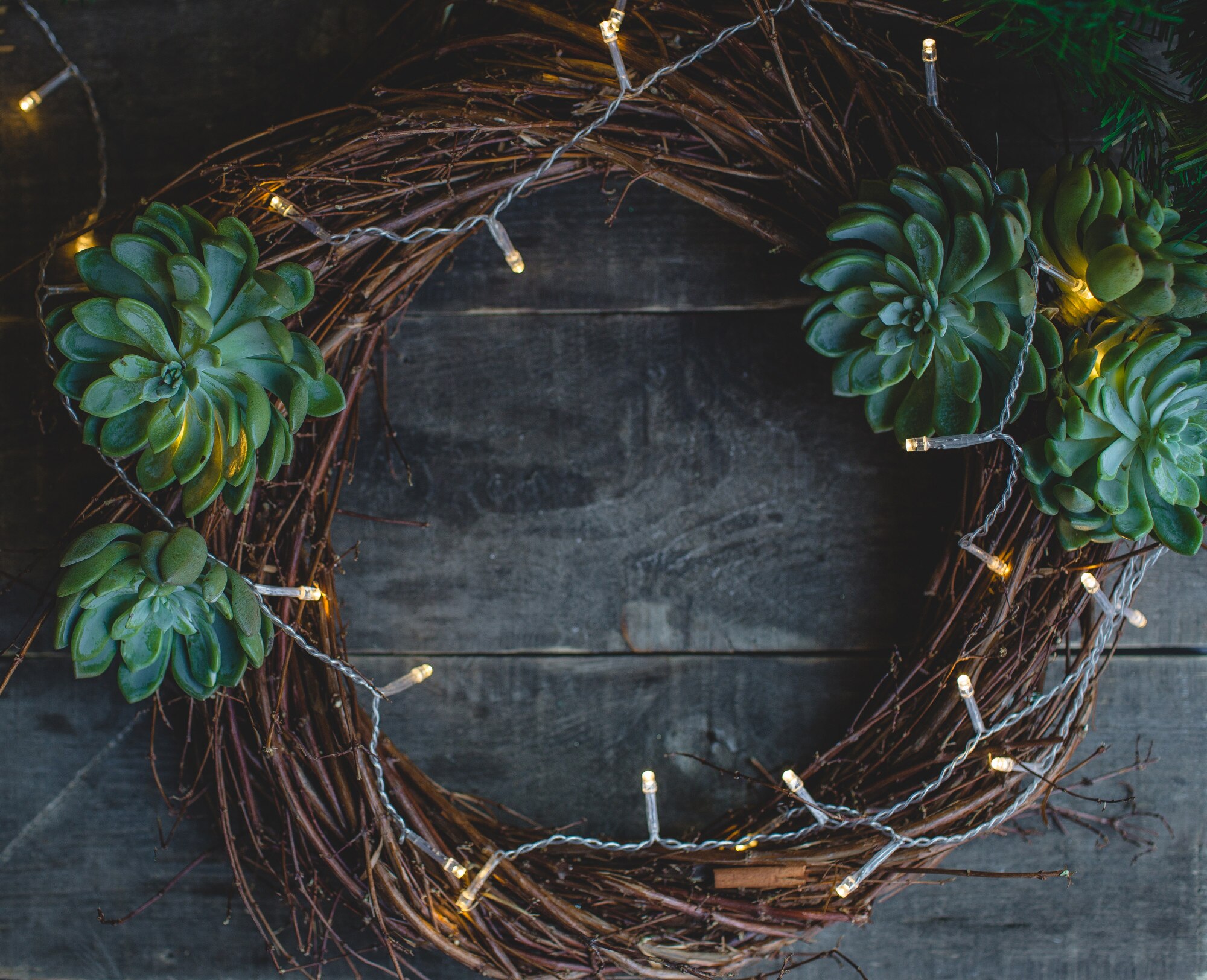 christmas door wreath made from branches and sucul 372b891e47ebcb2ecc58