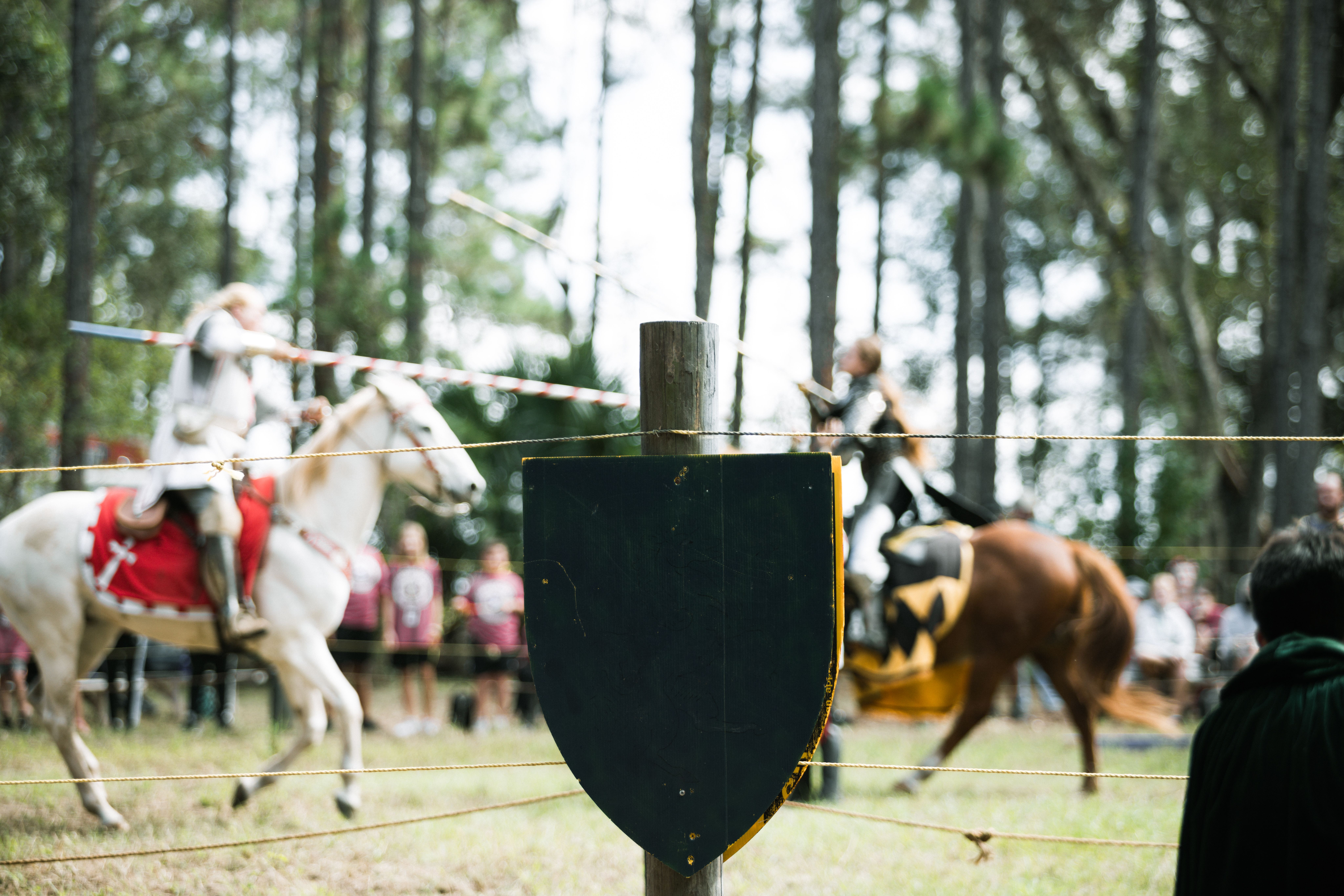 Challenge Accepted: Unleash Your Inner Knight with Jousting and Archery!