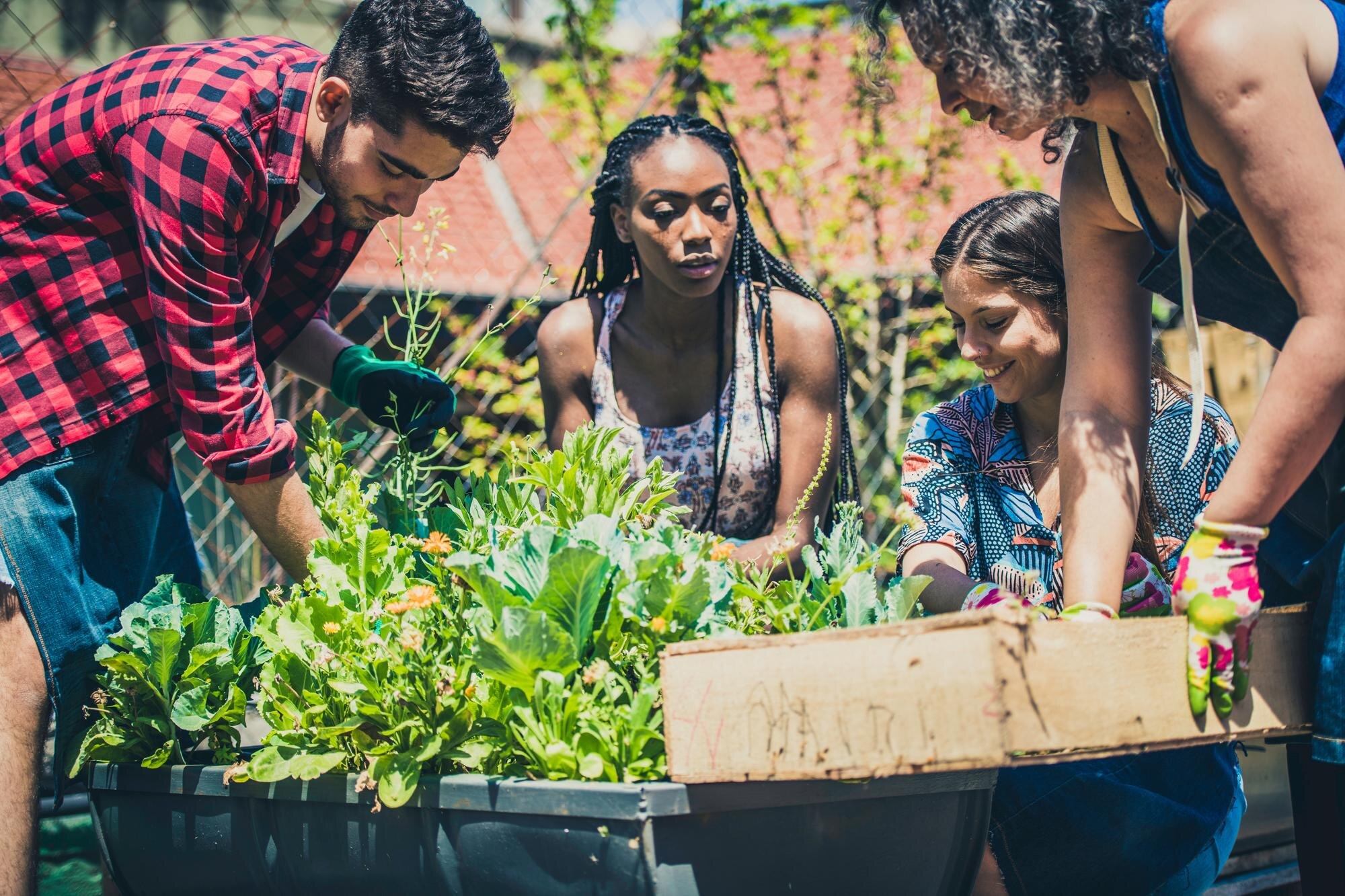 Cultivating Green Spaces: Your Guide to Urban Sustainable Gardening Closeup View Of Young People Learning Urban Garden Efbea3c7cdc5151c1215