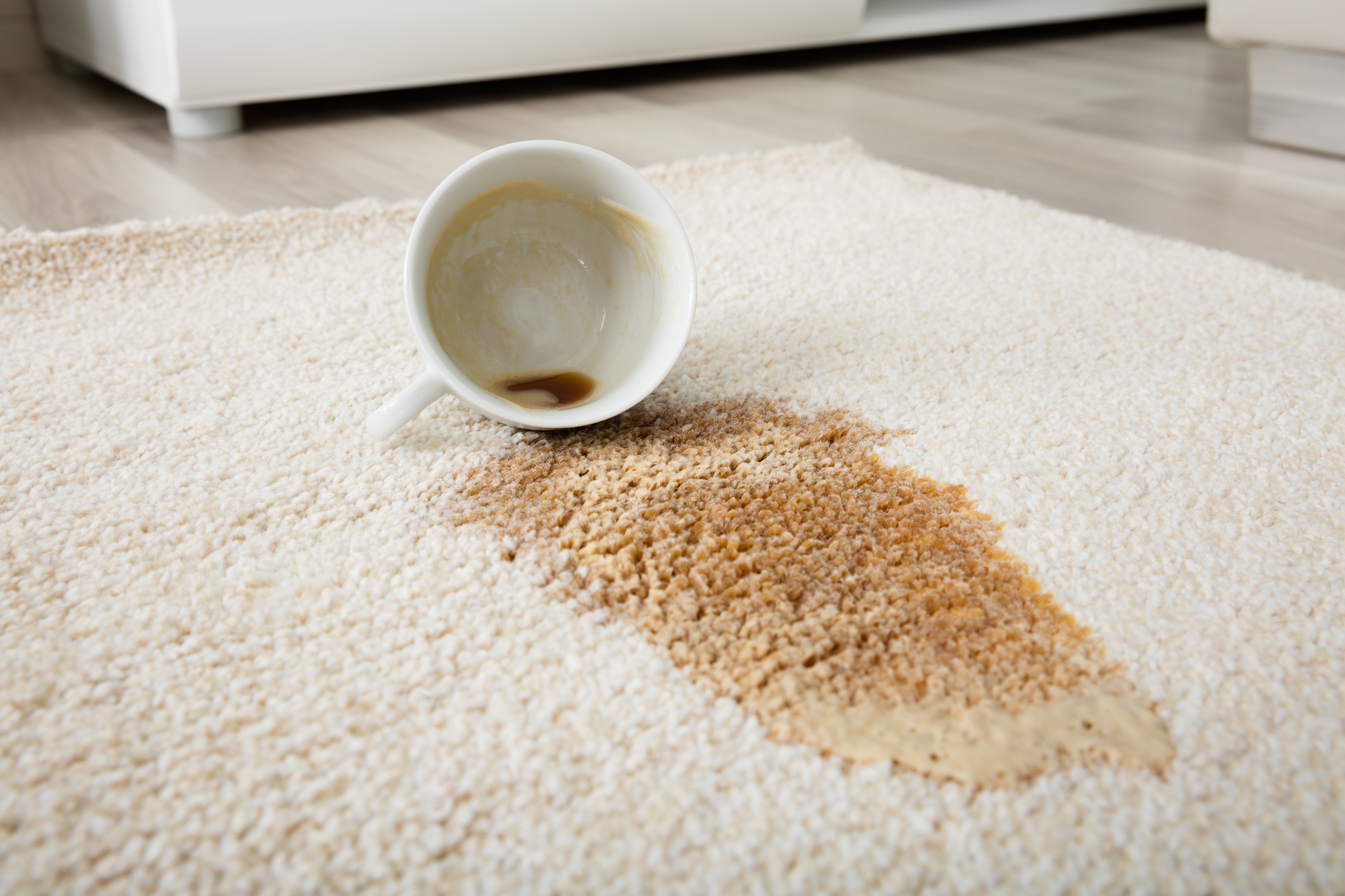 Carpet Care 101: Essential Dos and Don'ts for Spot Cleaning 3 coffee spilling from cup on carpet 20197b257b85d349a5b1